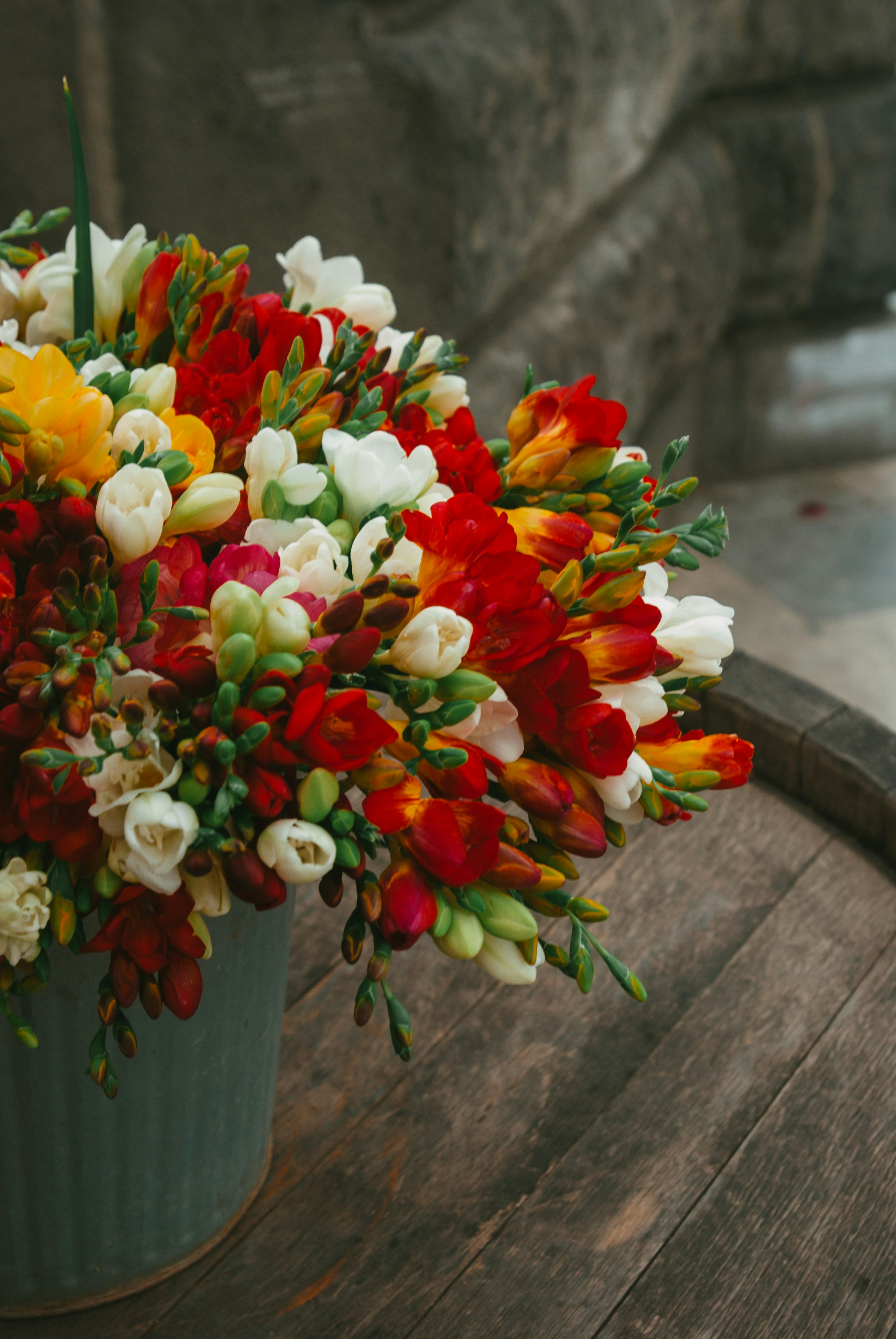 Photo by moonmoons_days