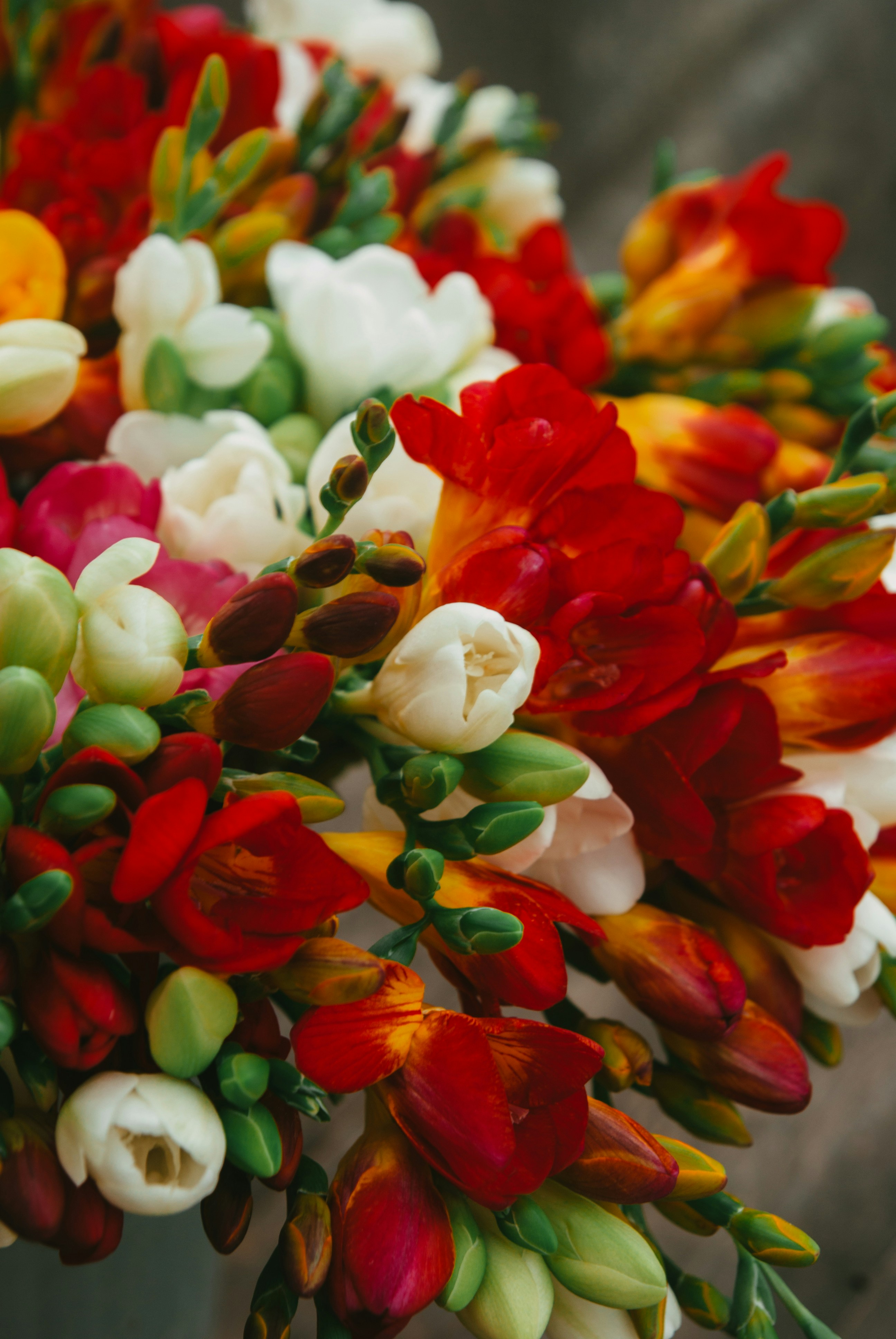 Photo by moonmoons_days