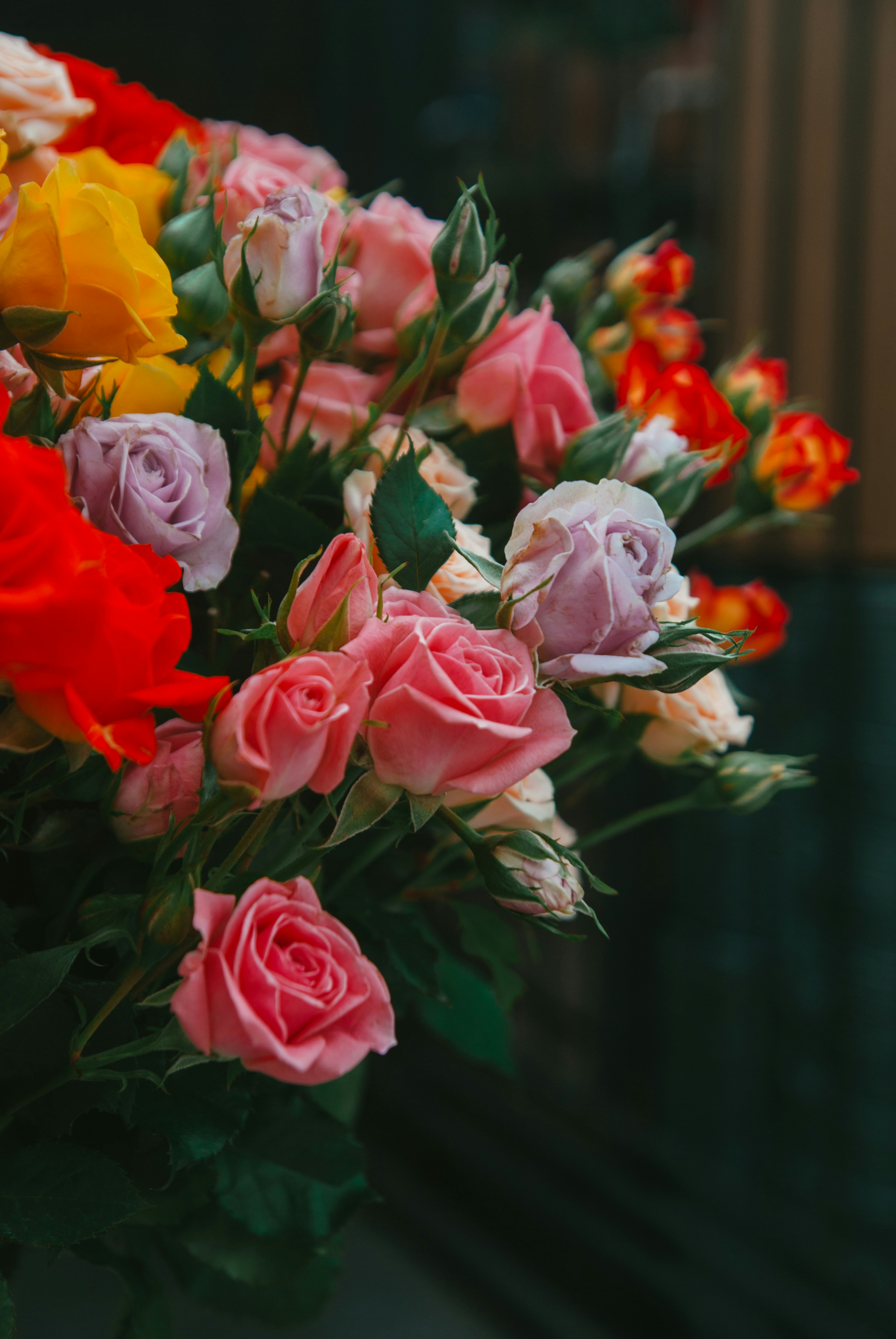 Photo by moonmoons_days