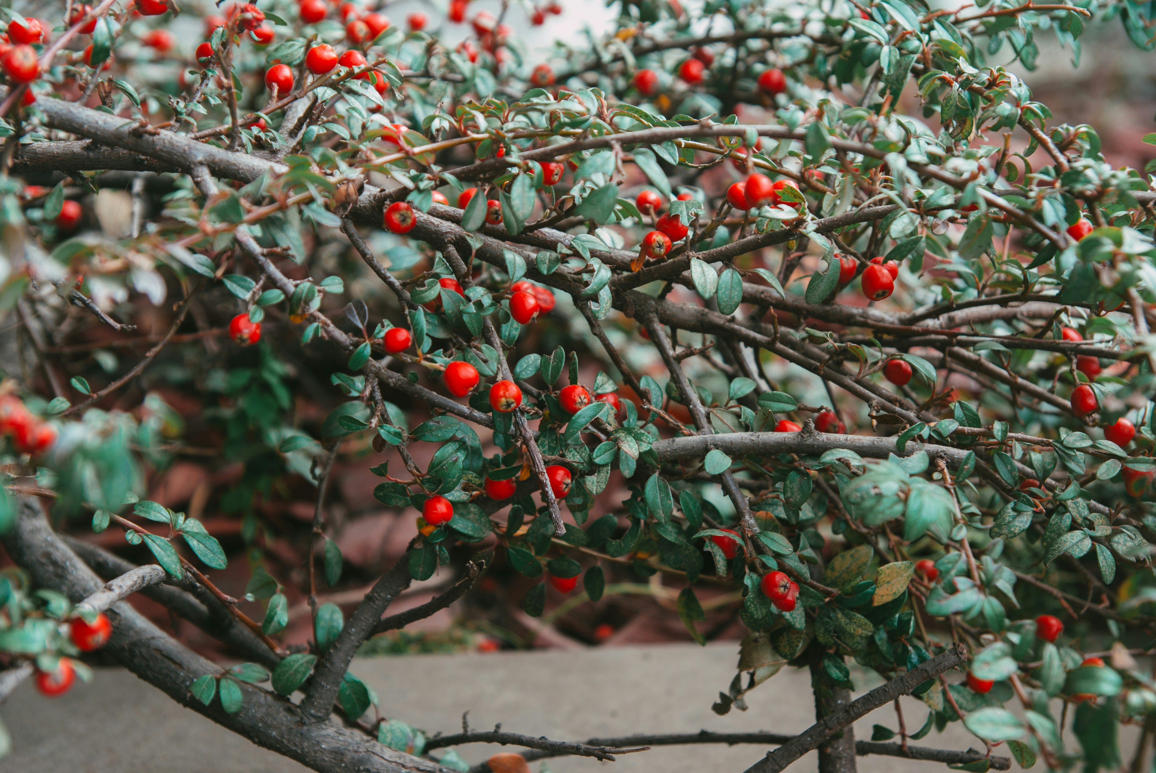 Photo by moonmoons_days