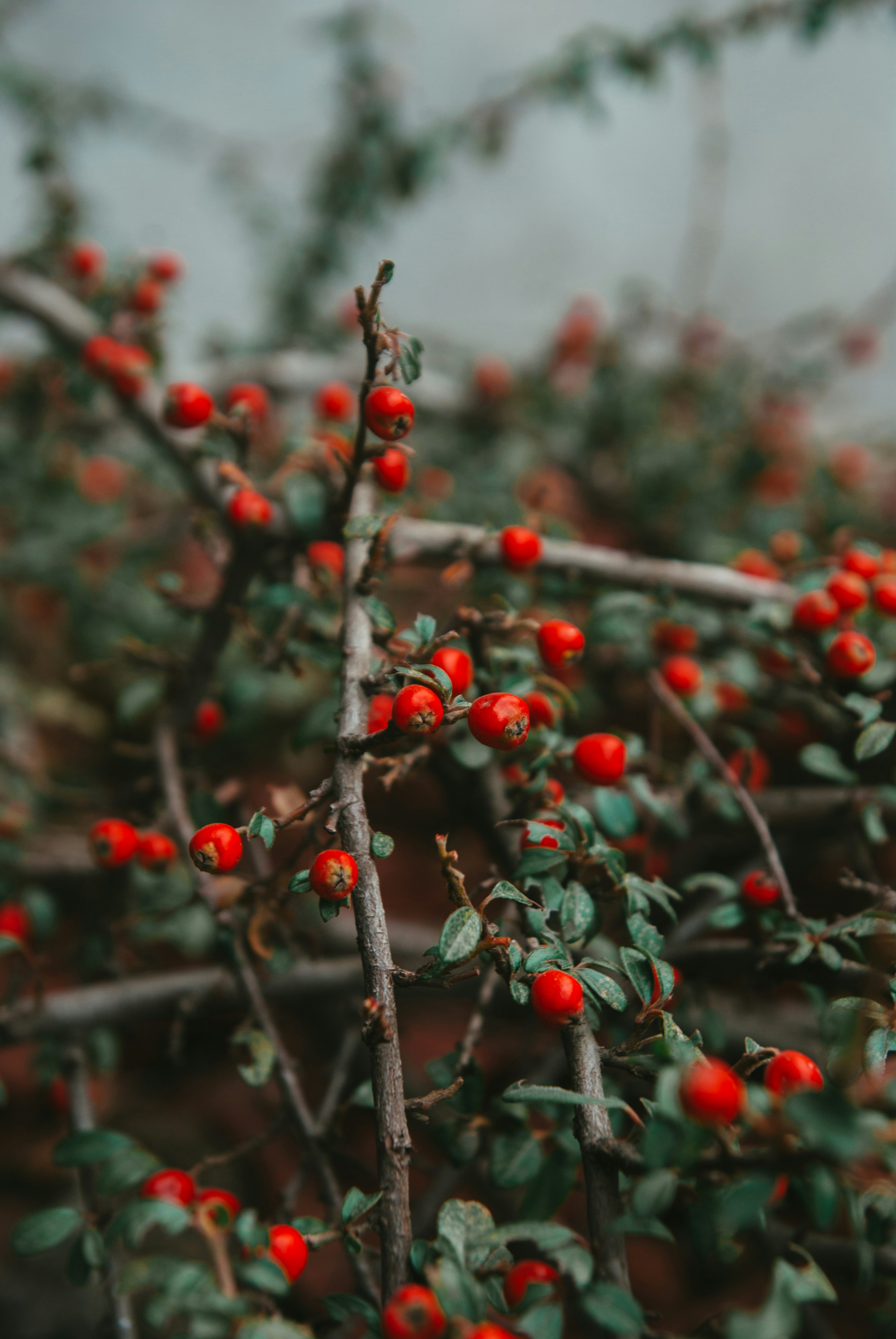 Photo by moonmoons_days