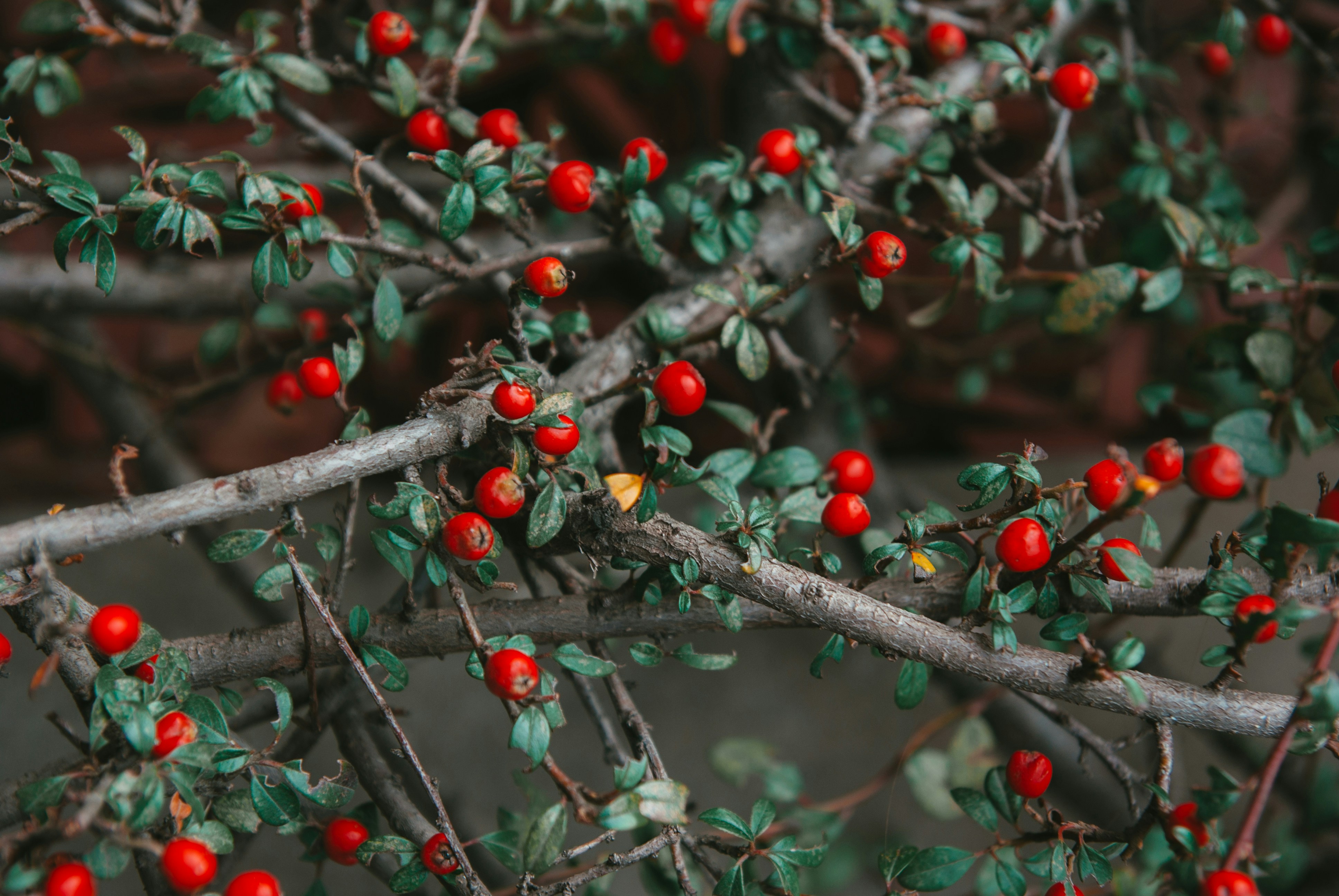 Photo by moonmoons_days