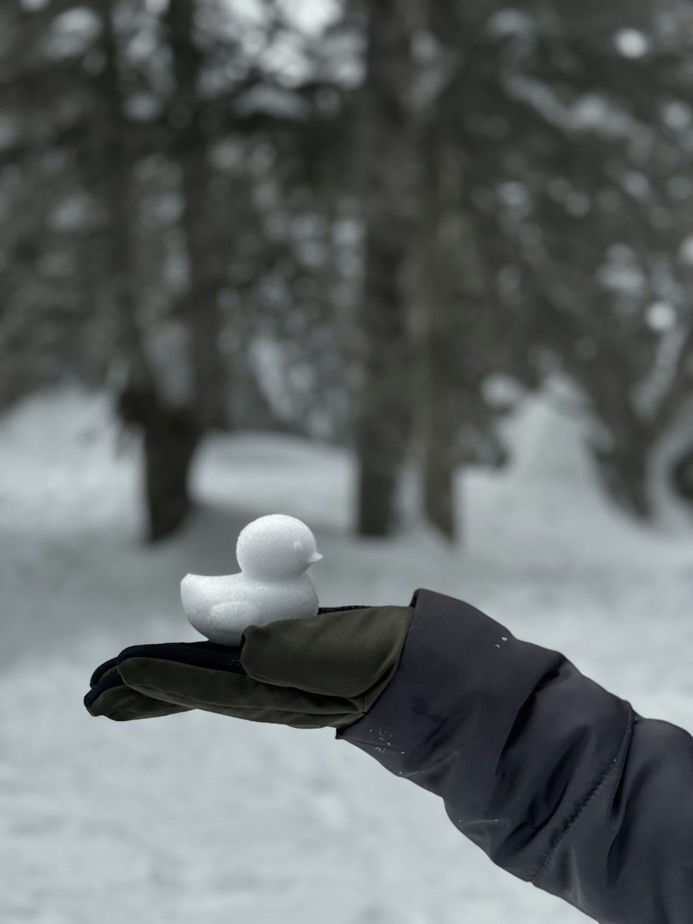 a person holding a white object in their hand