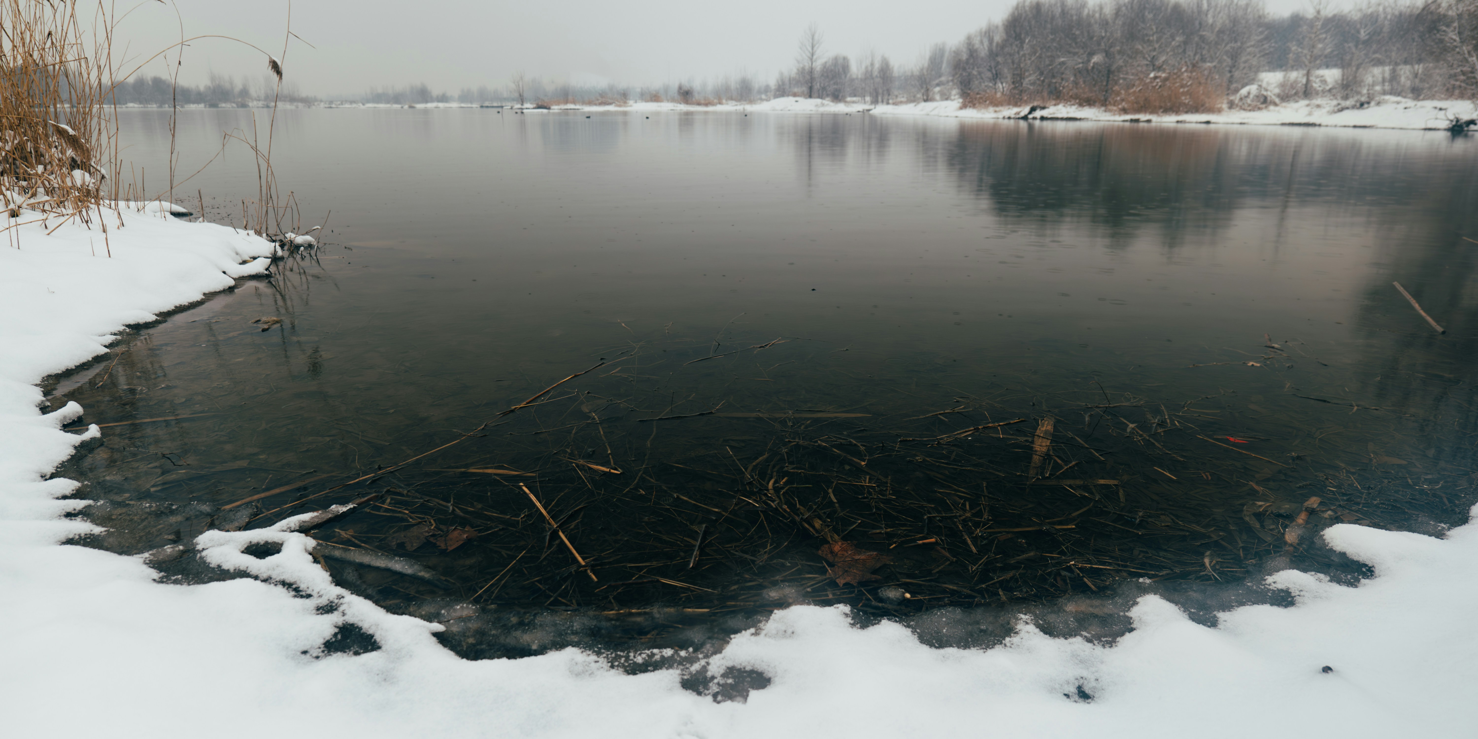 Photo by summerobelisk