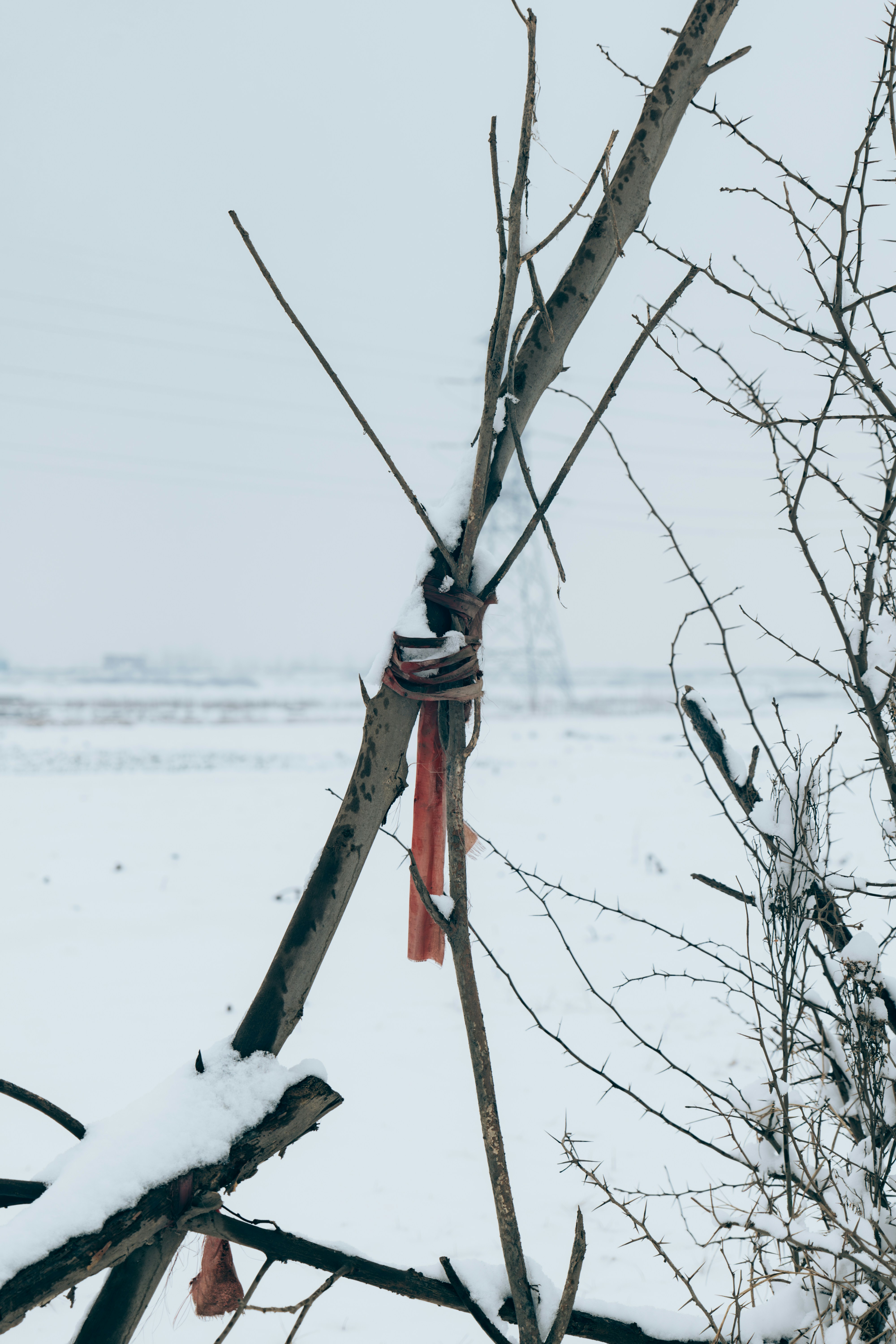 Photo by summerobelisk