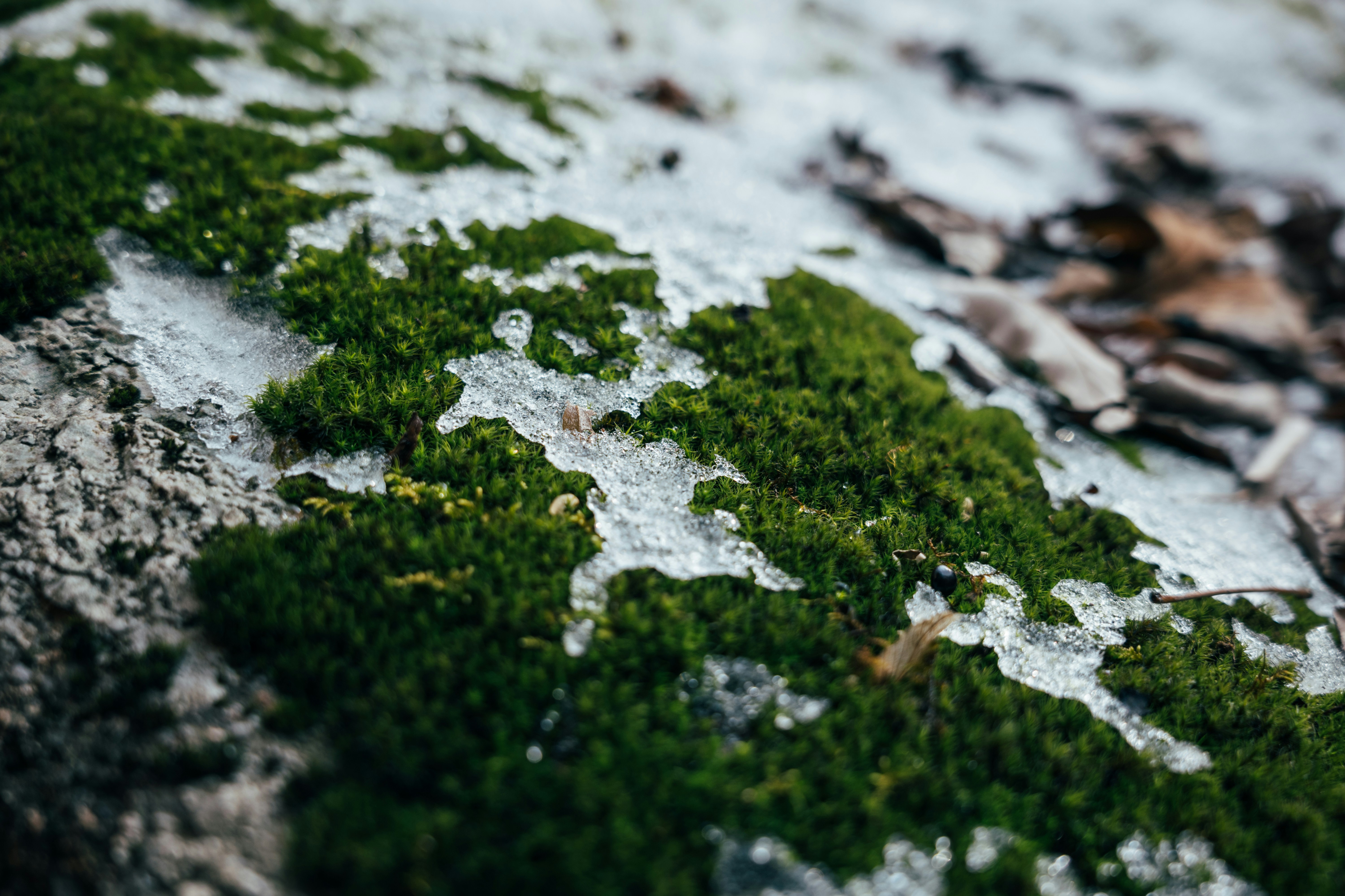 Photo by summerobelisk