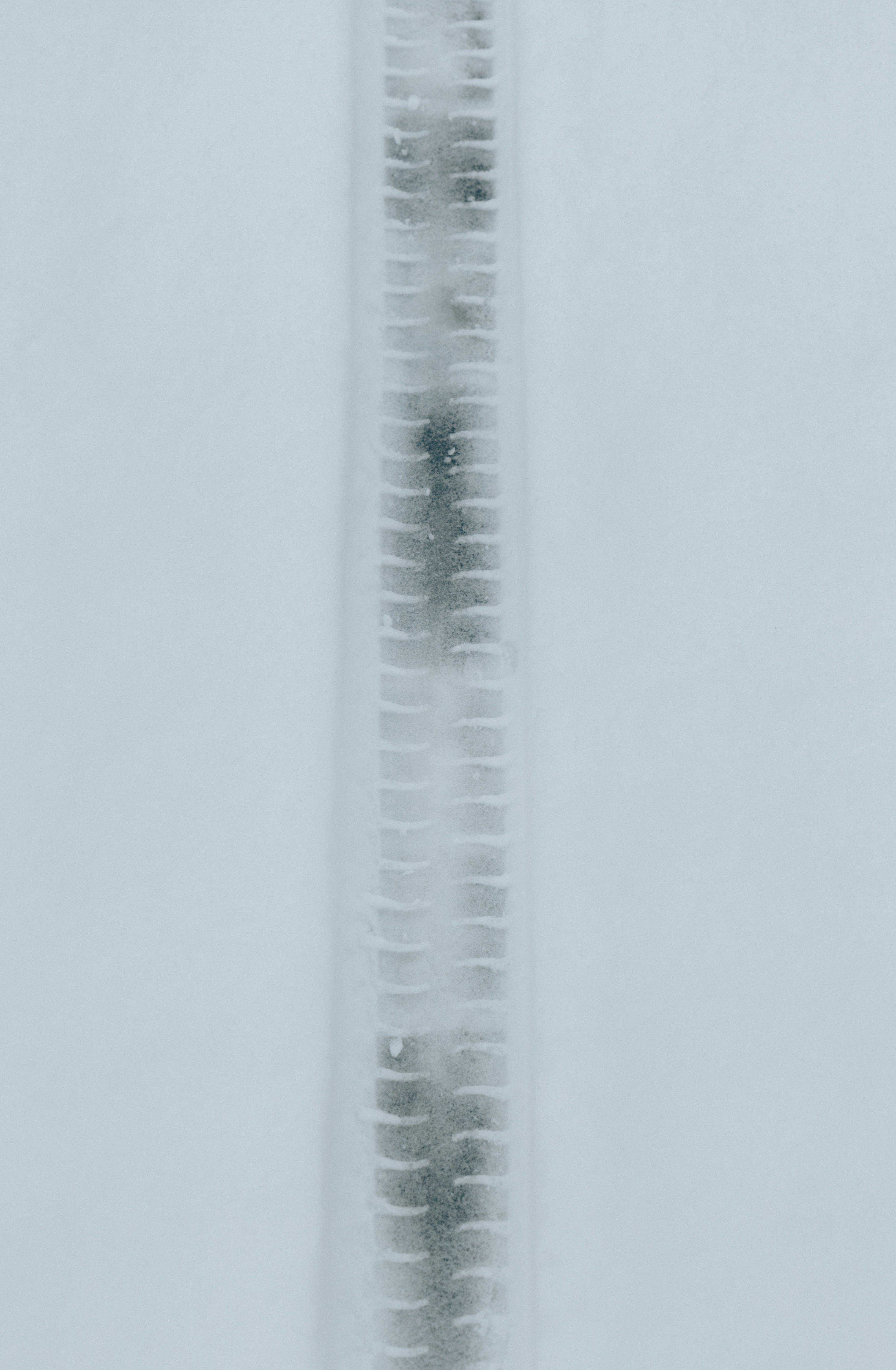 Photo by summerobelisk