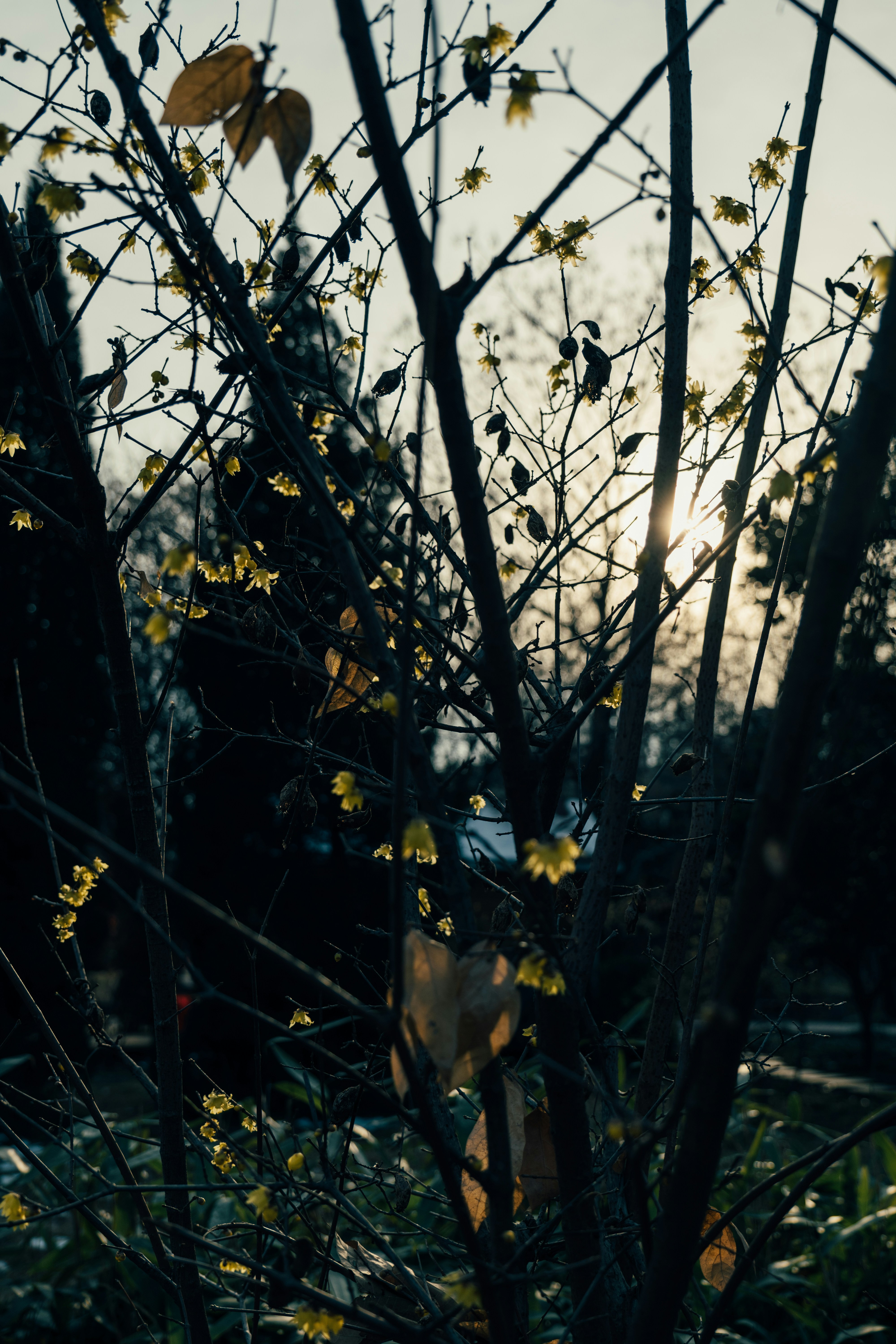 Photo by summerobelisk