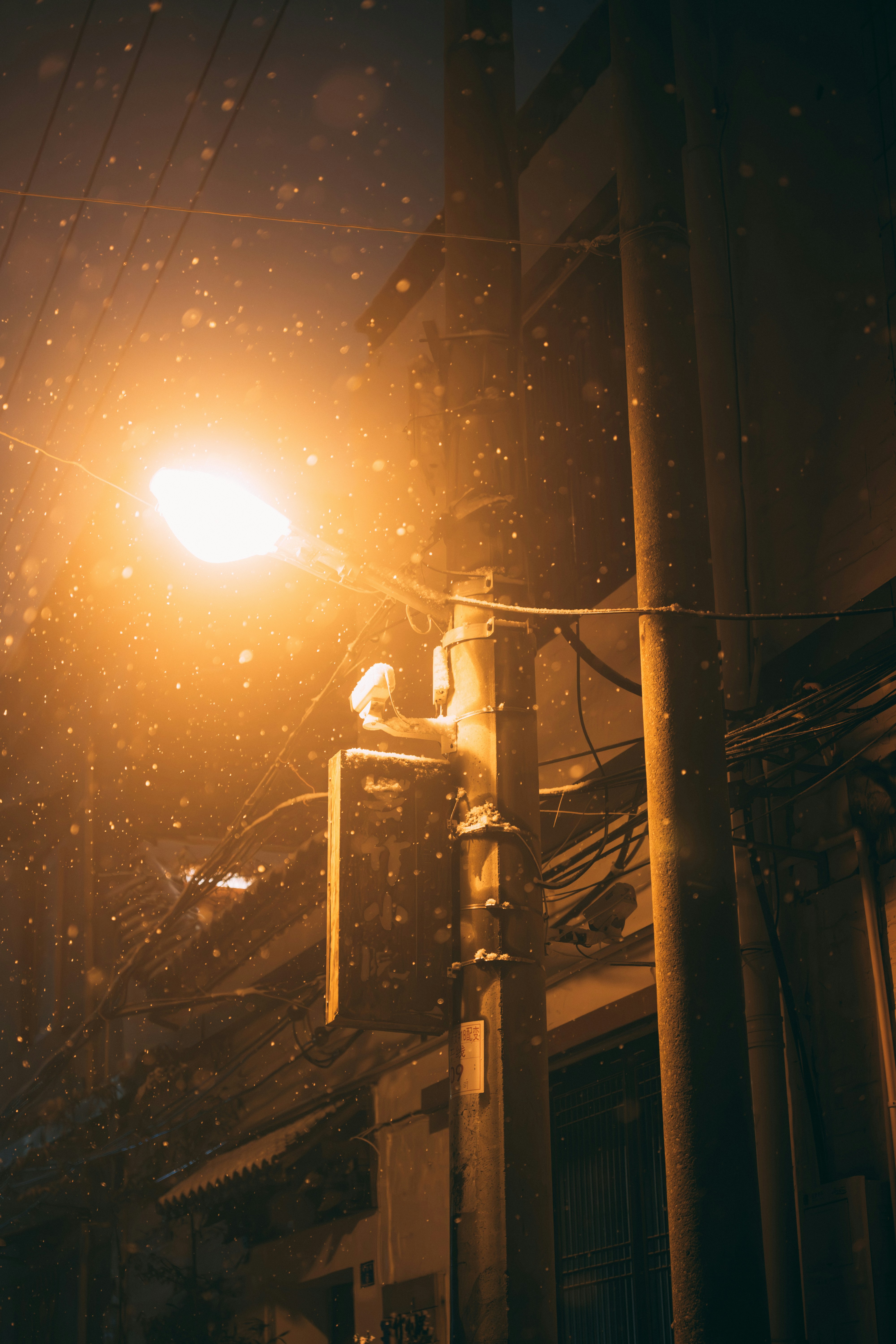 Photo by summerobelisk