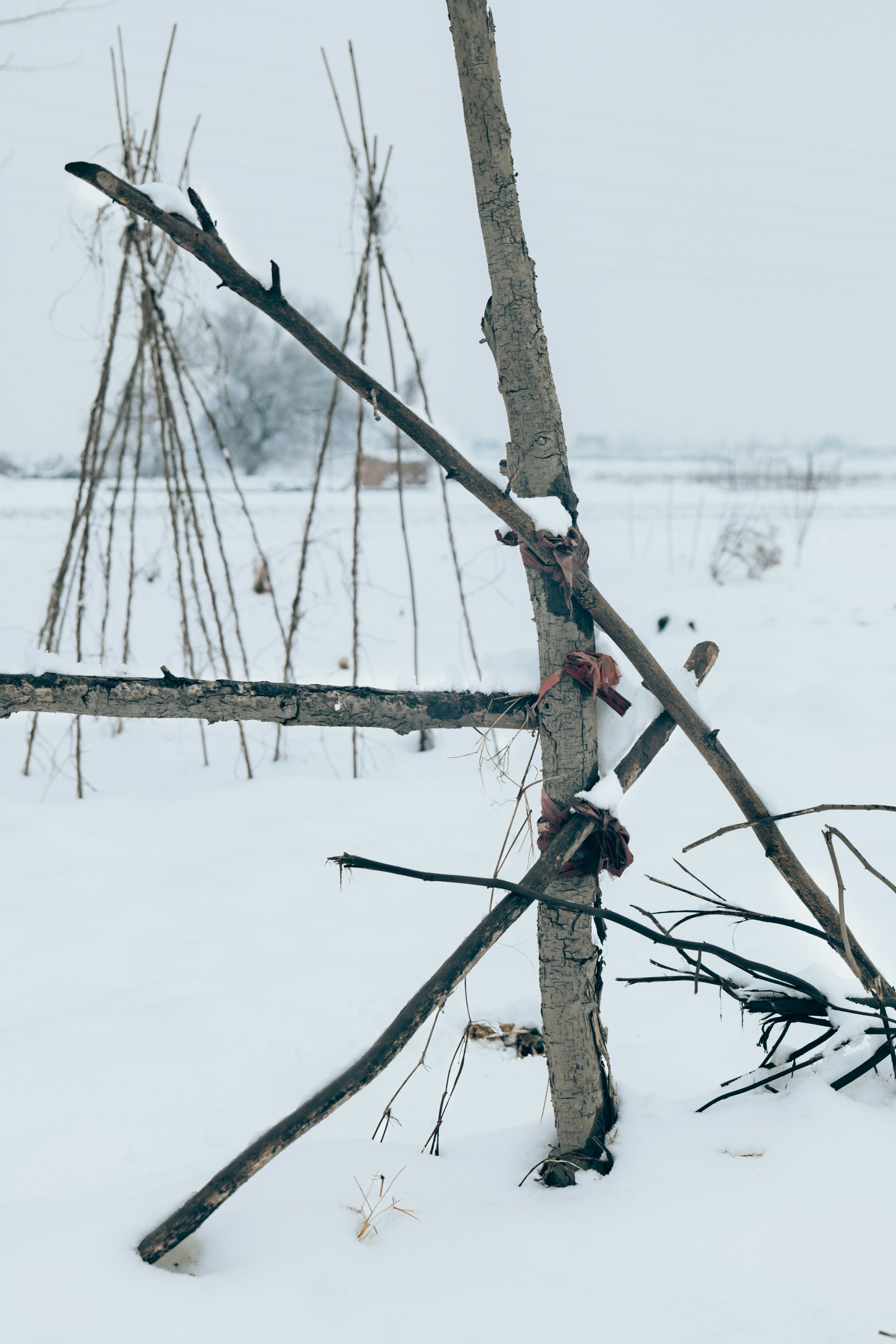 Photo by summerobelisk