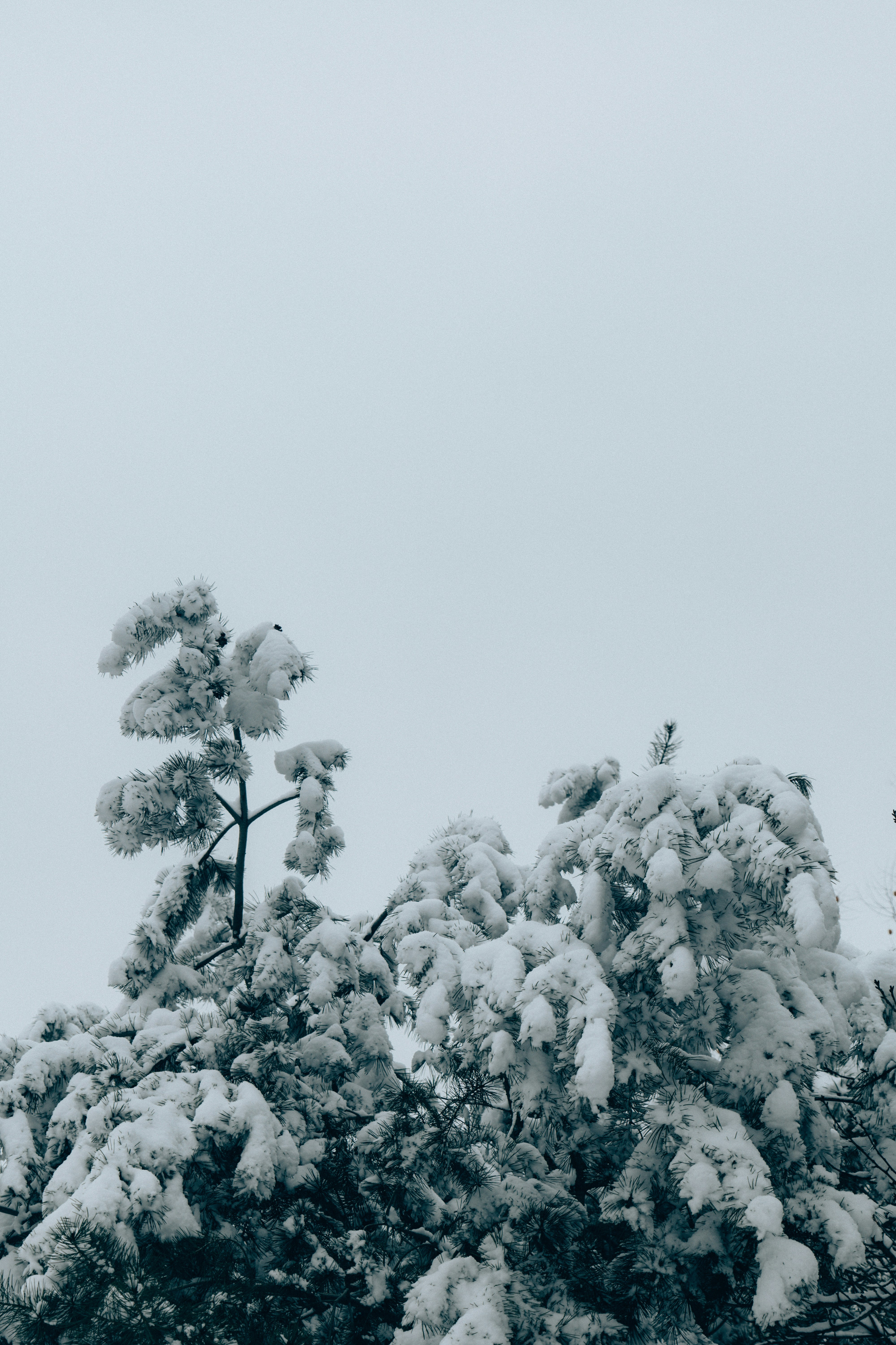 Photo by summerobelisk