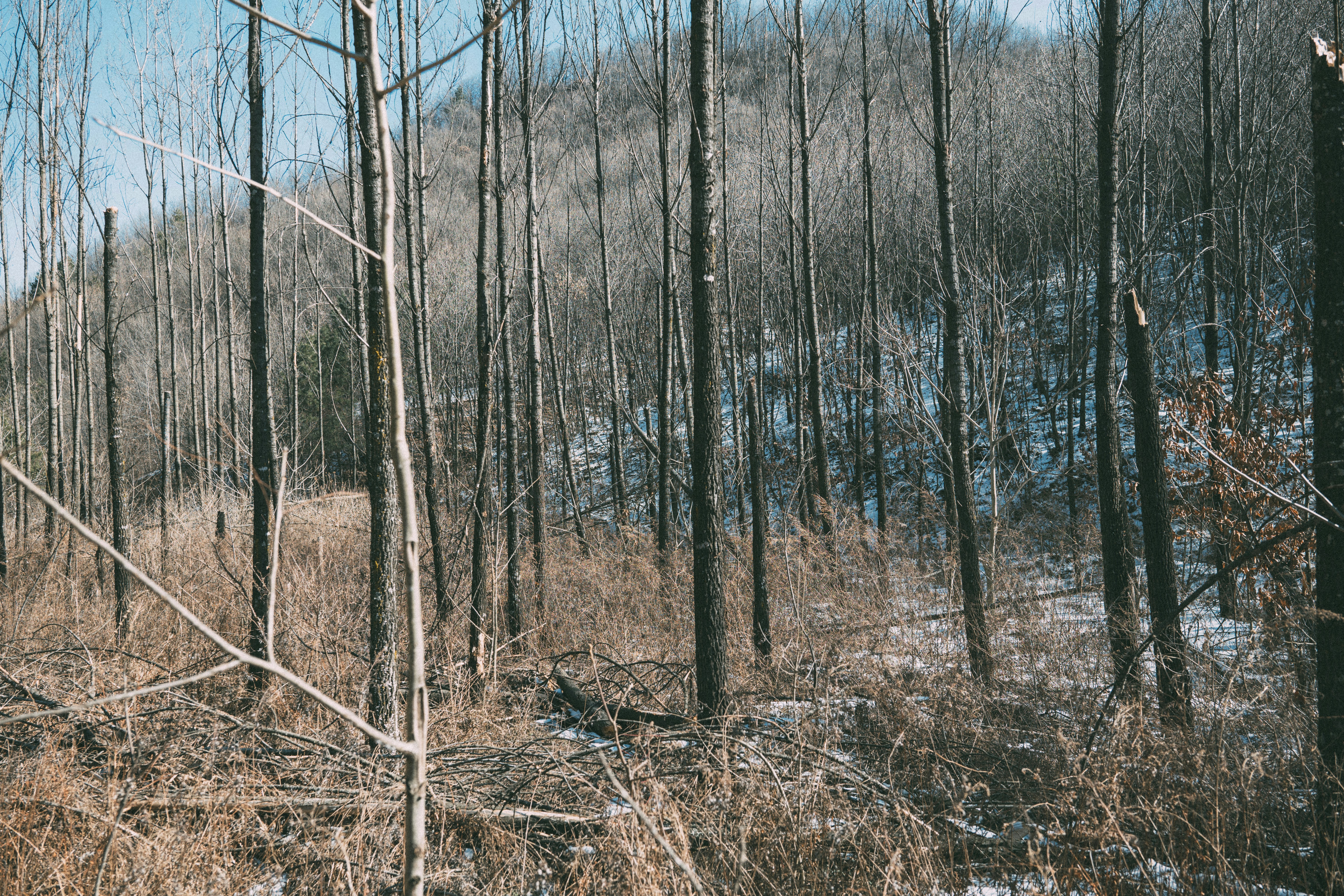 Photo by summerobelisk