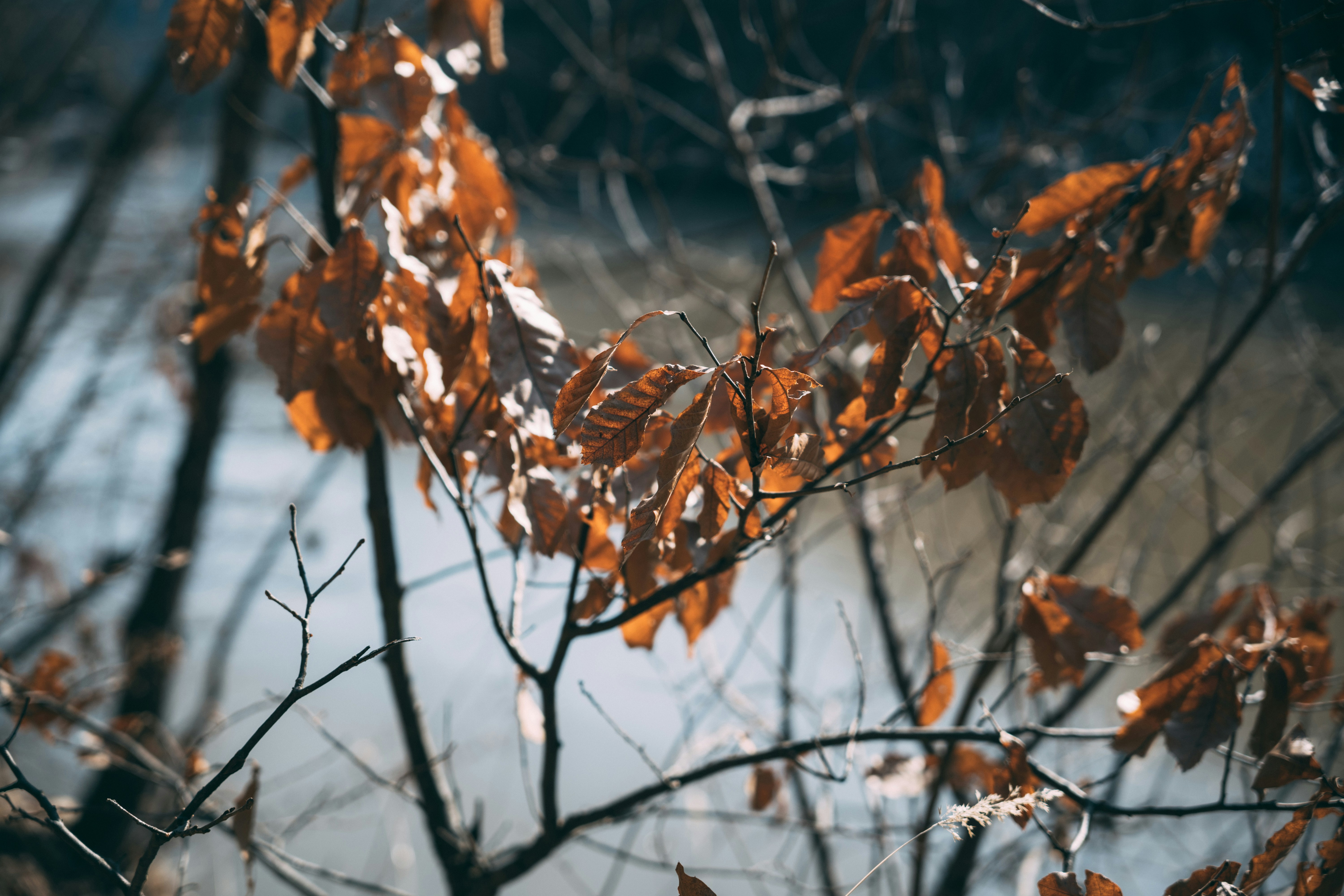 Photo by summerobelisk