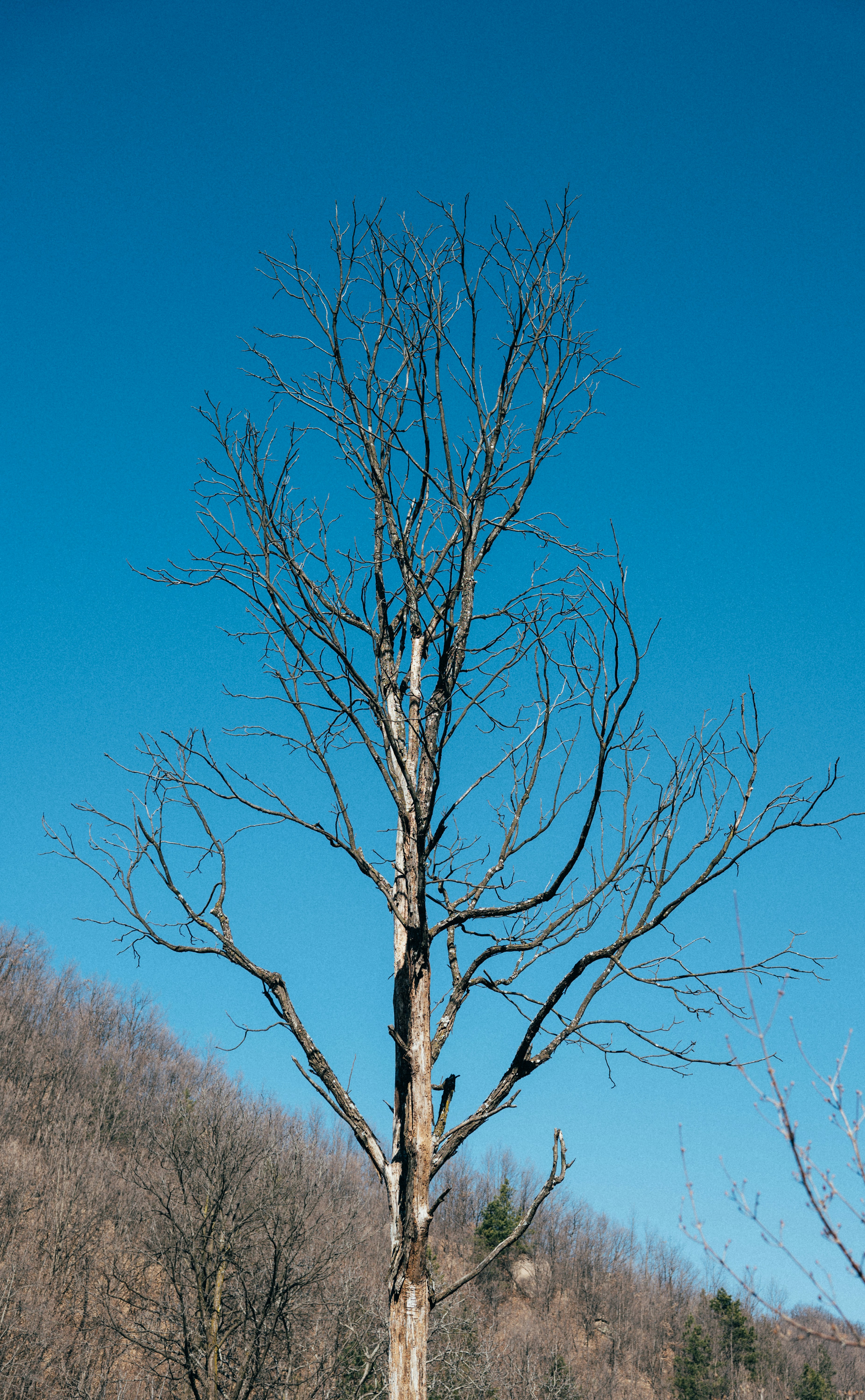 Photo by summerobelisk