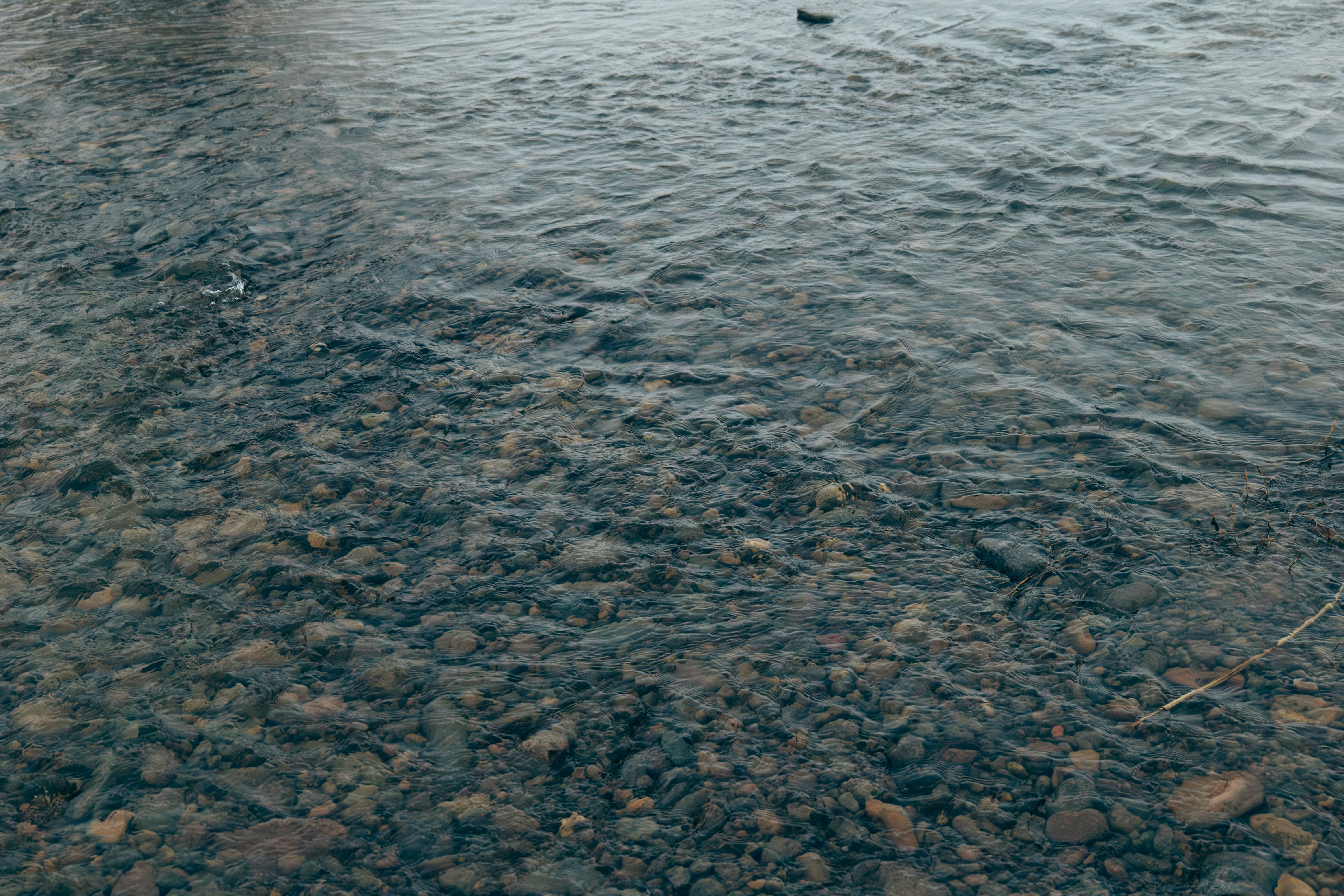 Photo by summerobelisk