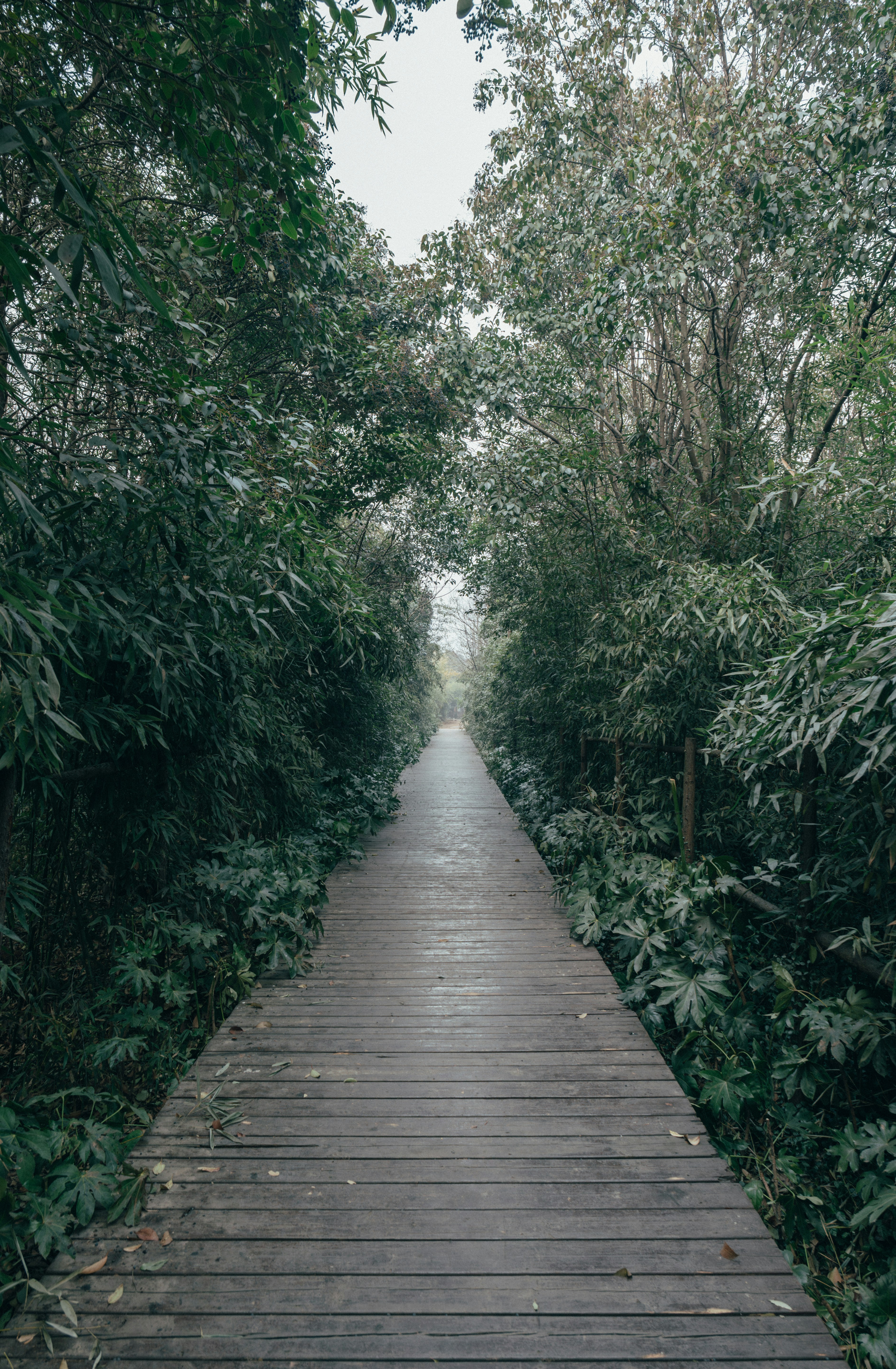 Photo by summerobelisk