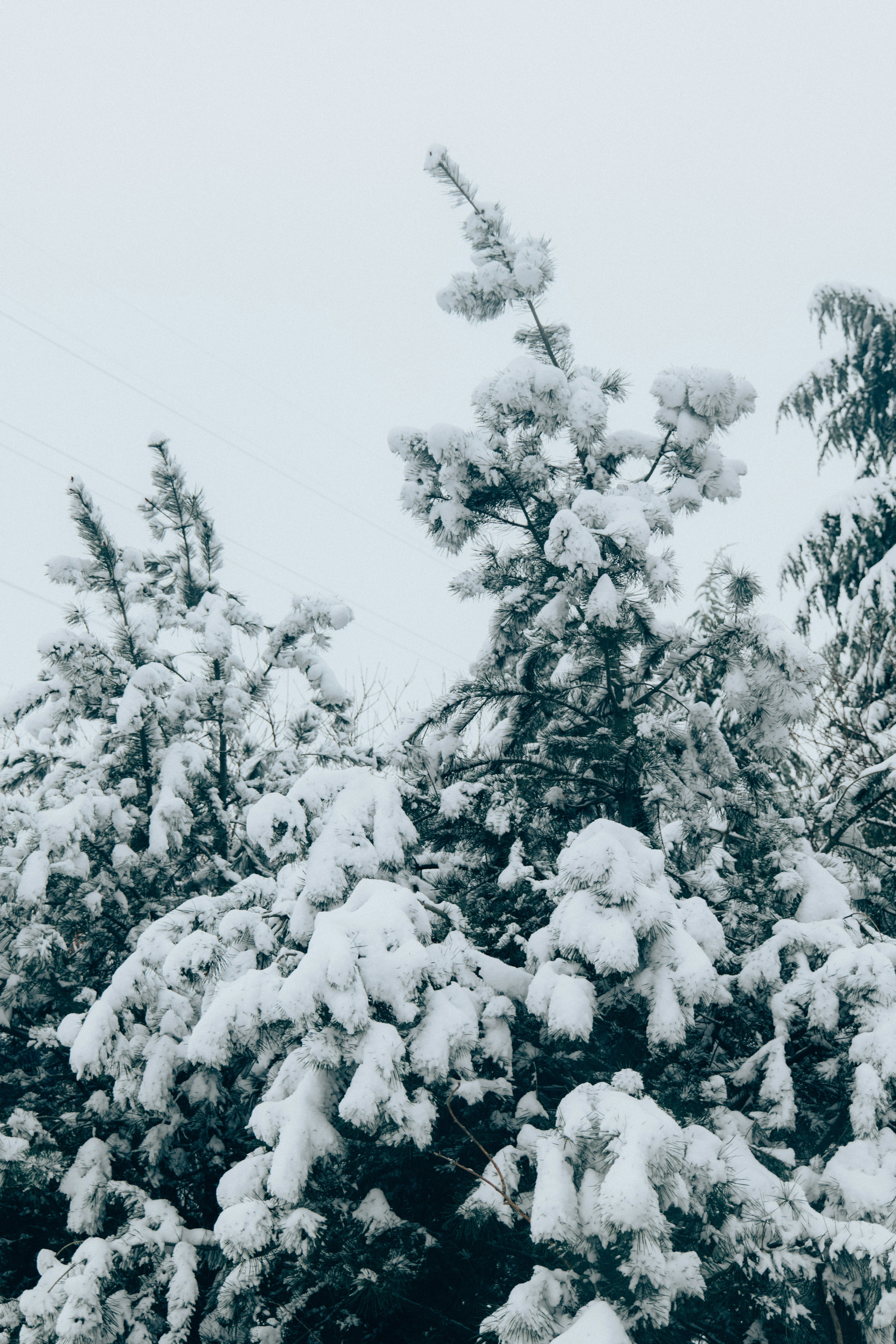 Photo by summerobelisk