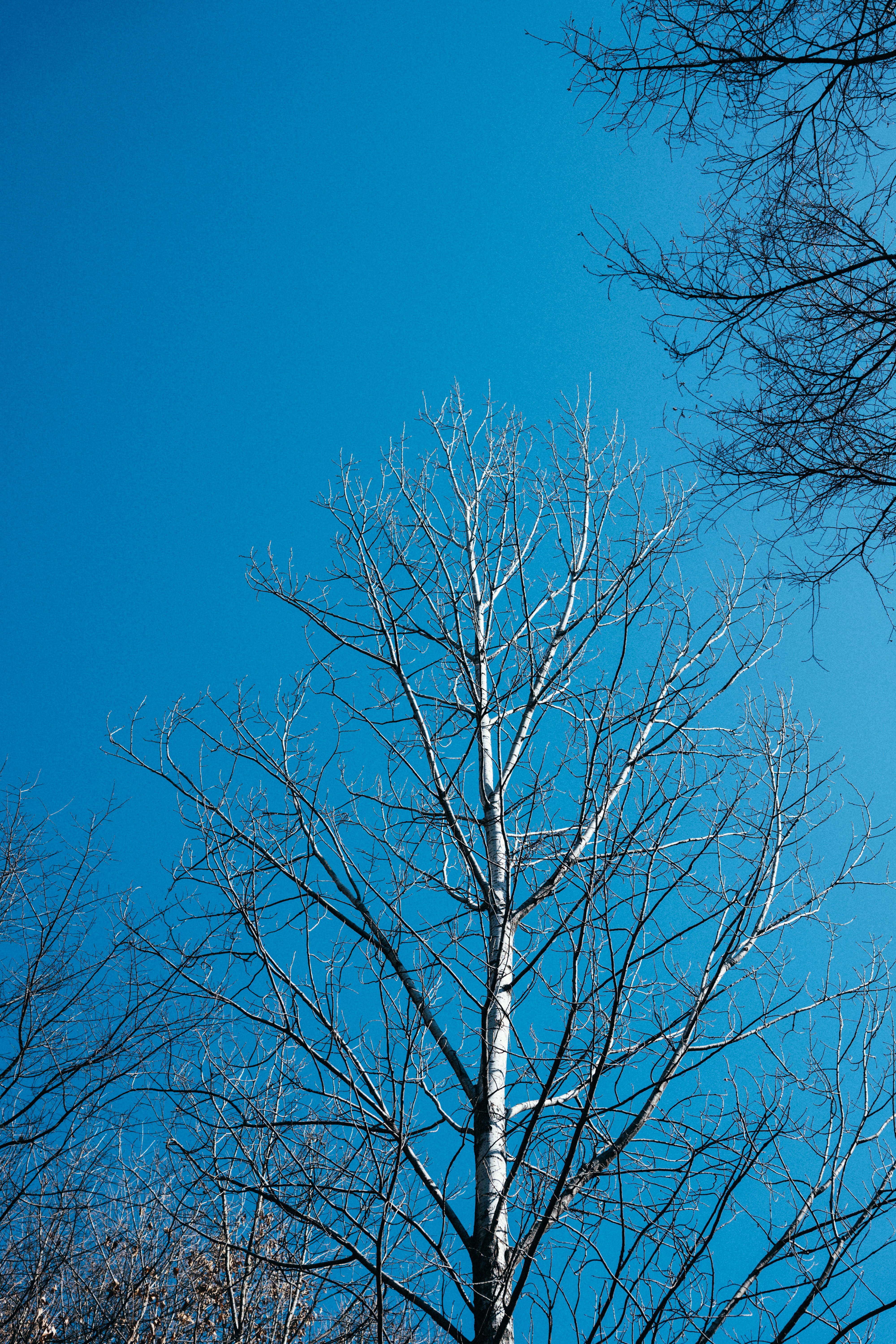 Photo by summerobelisk