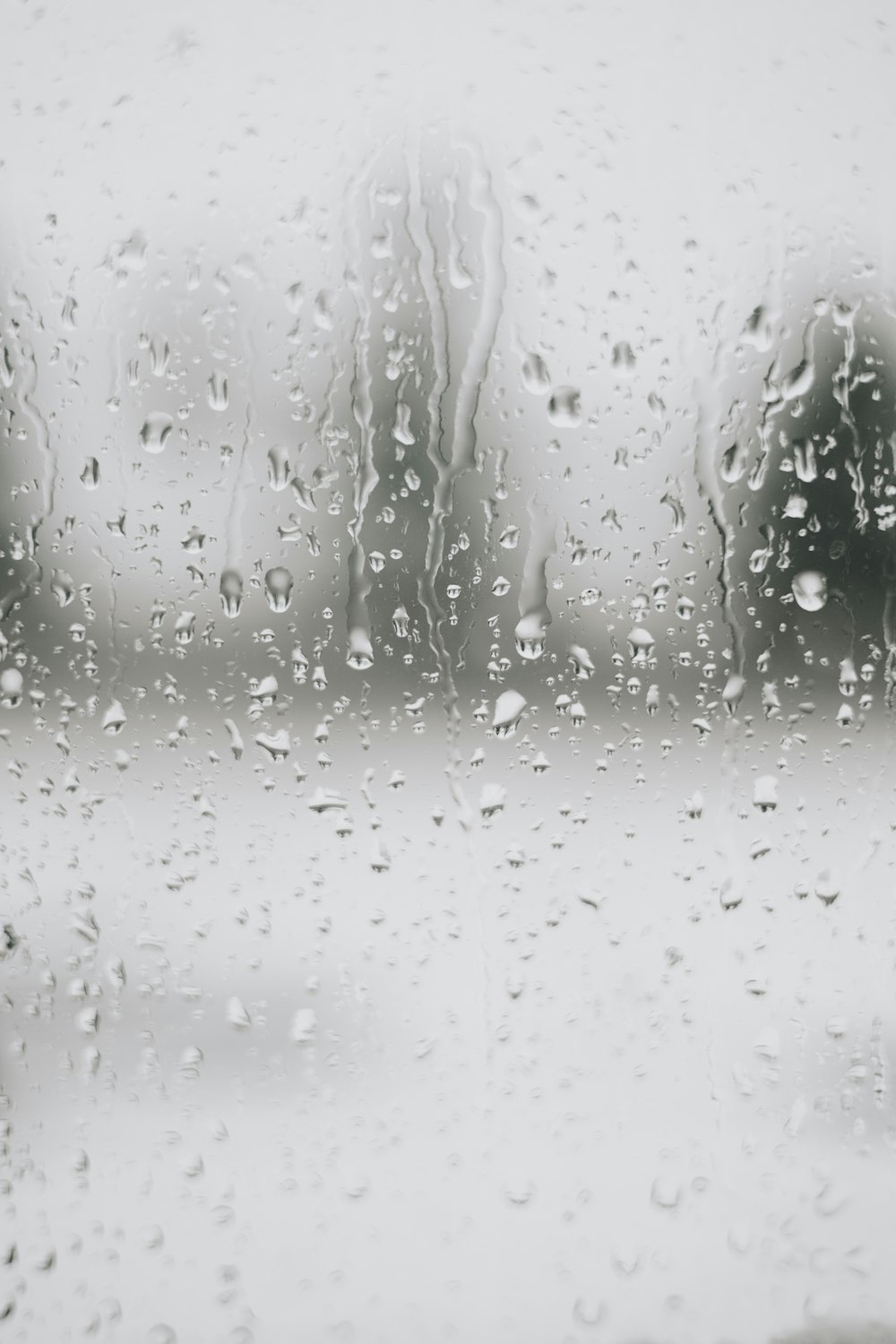 rain drops on a window with trees in the background