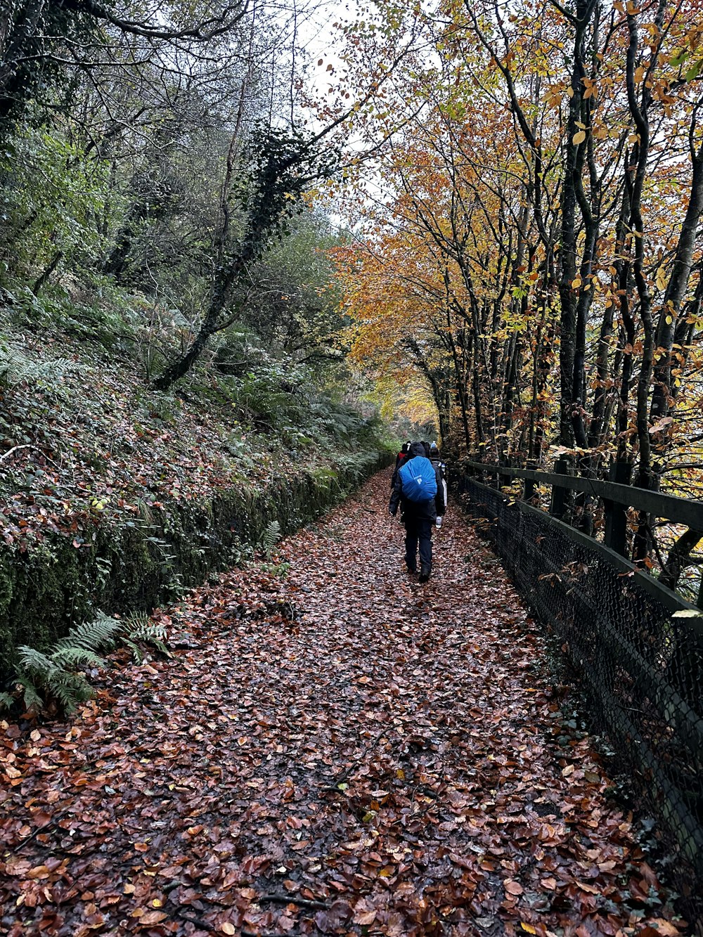 eine Person mit einem blauen Rucksack, die einen Weg entlanggeht