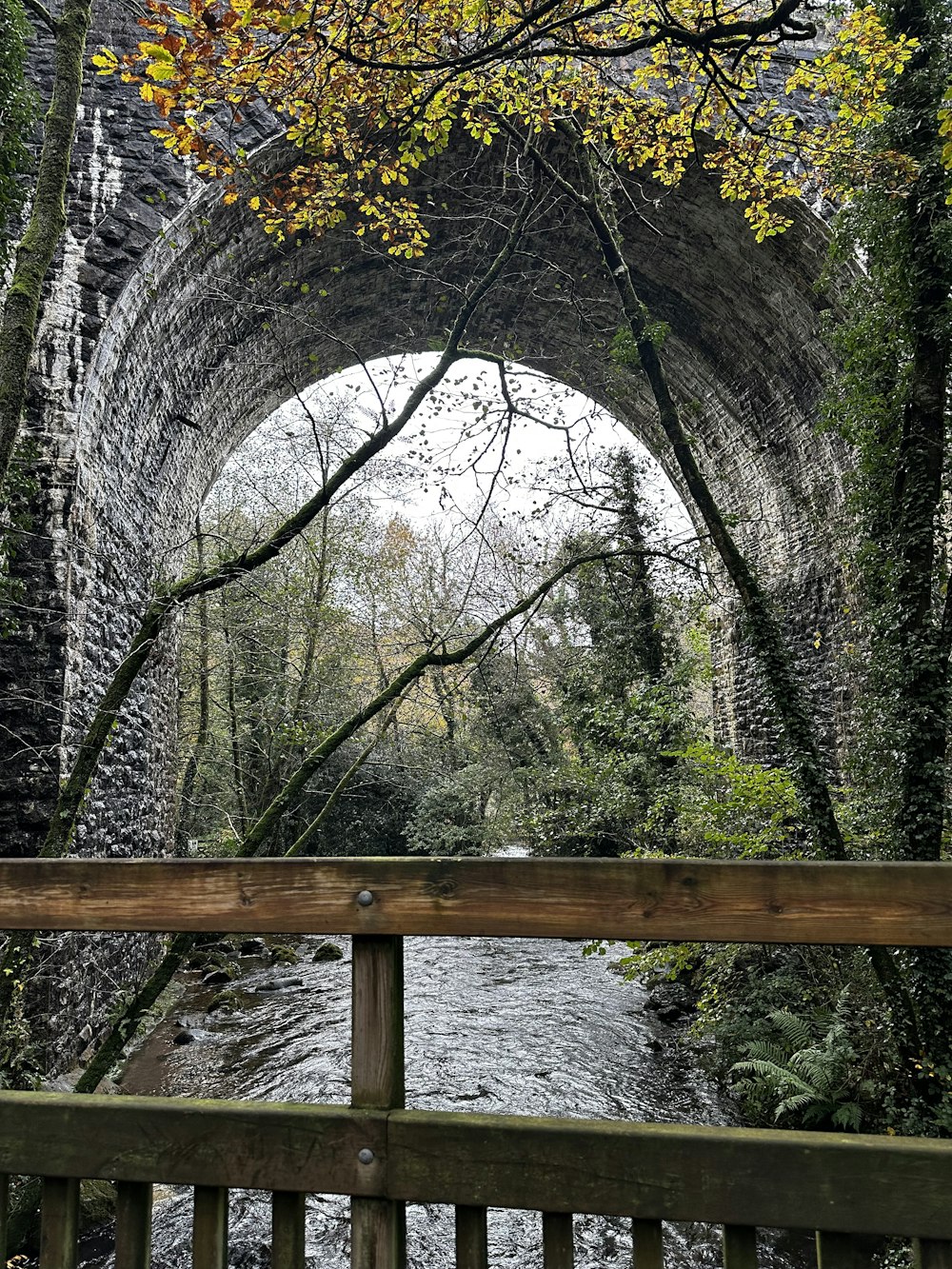 eine Brücke über einen Fluss, umgeben von Bäumen