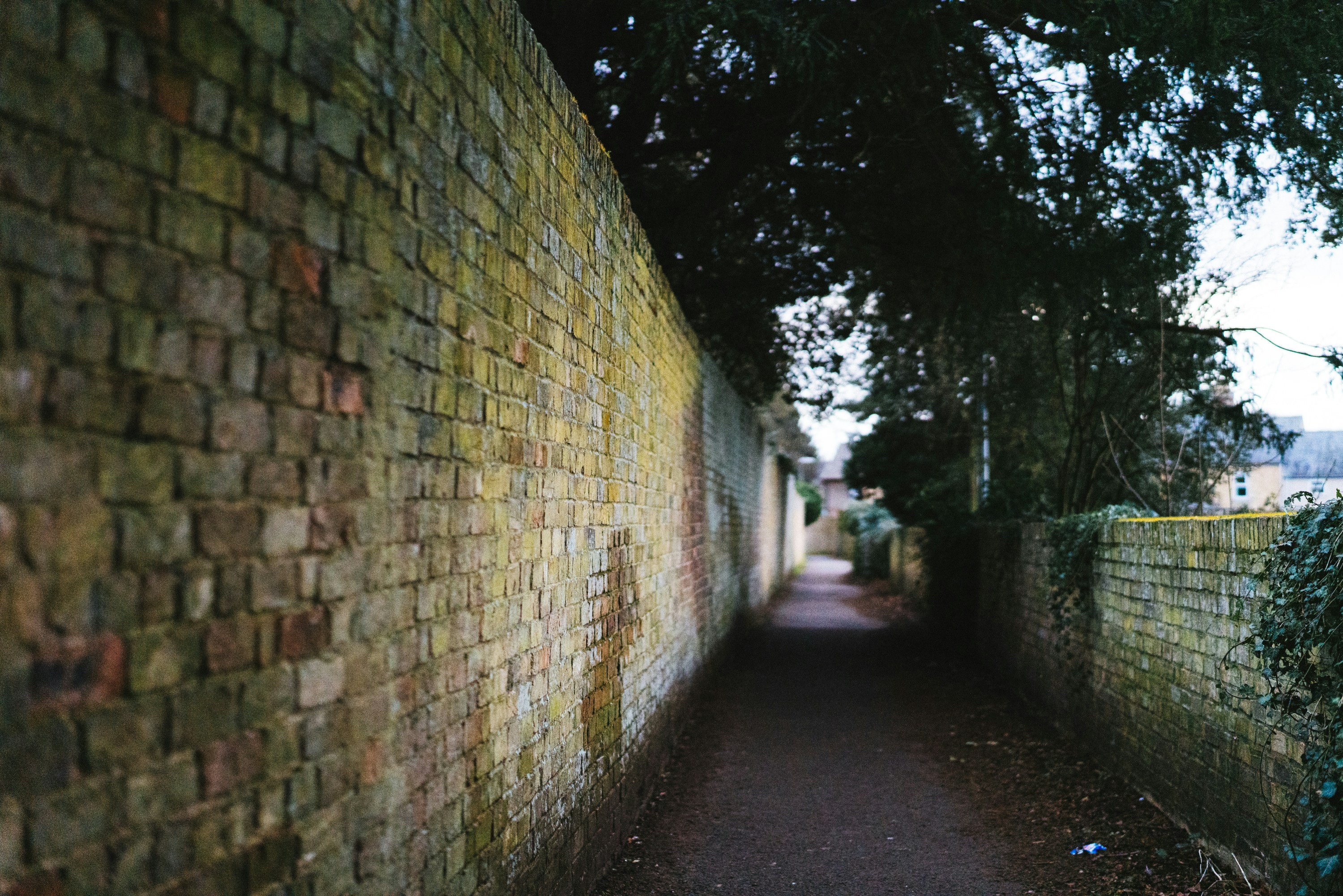 Photo by philhearing