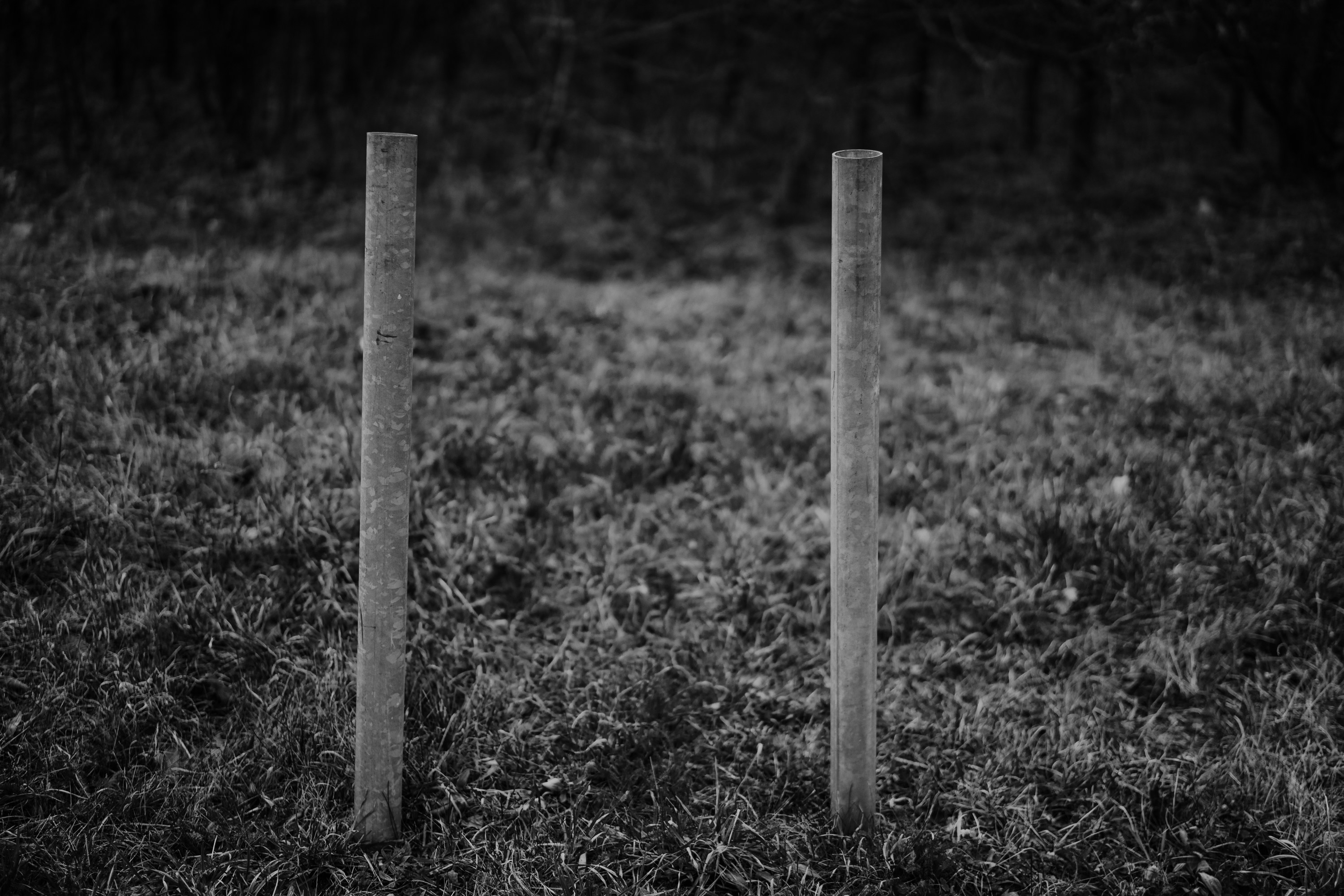 Photo by philhearing