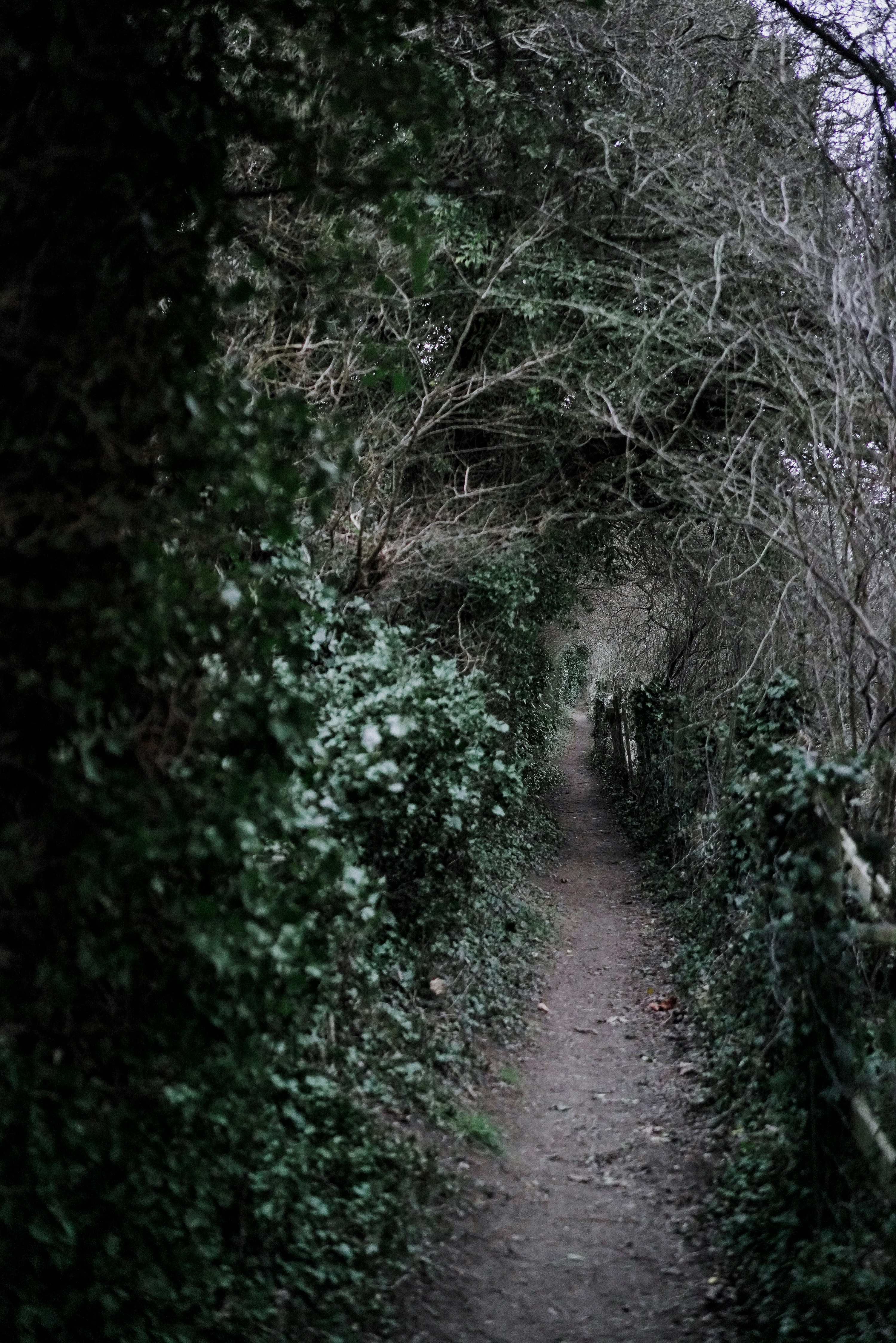 Photo by philhearing