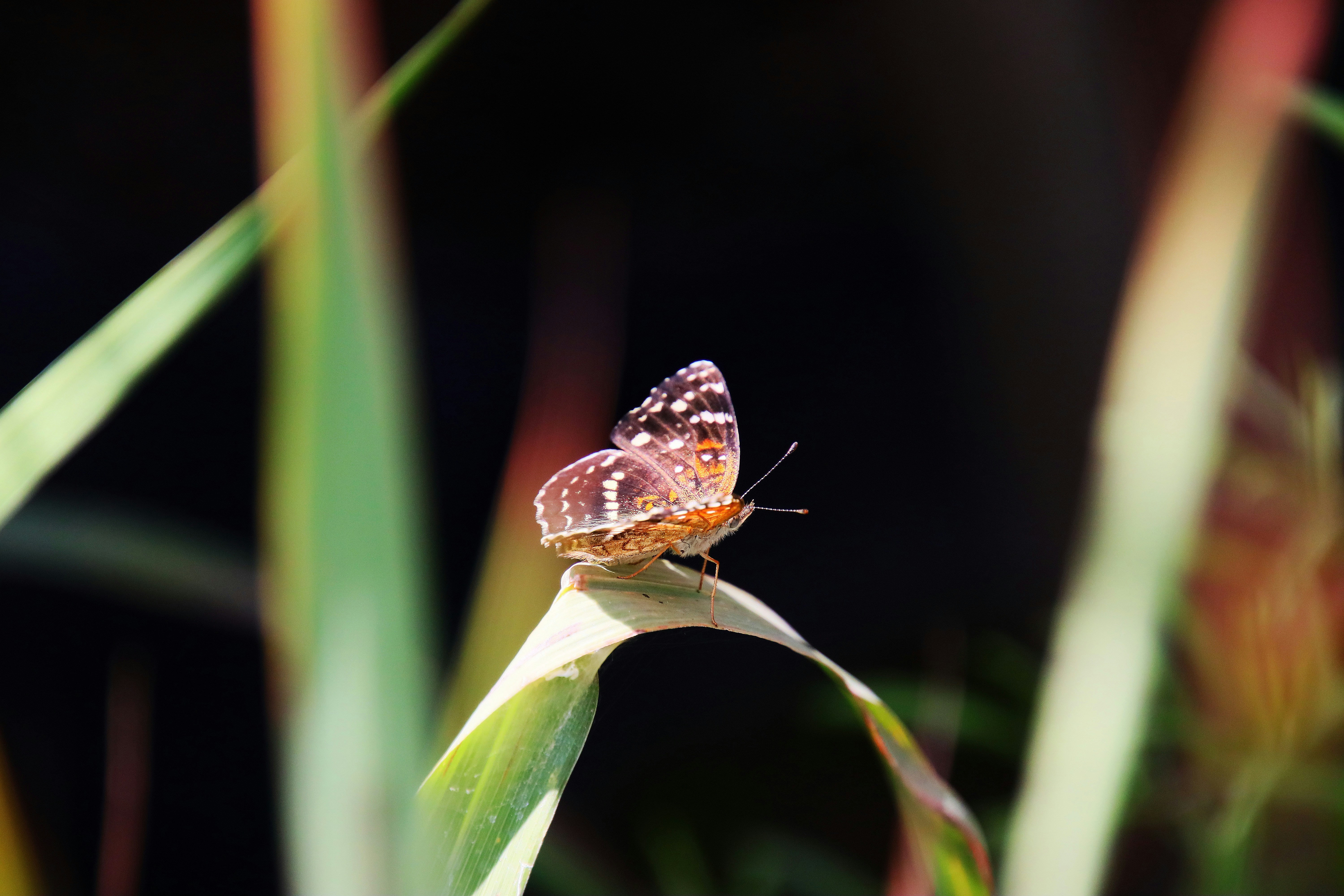 Photo by dumr731110