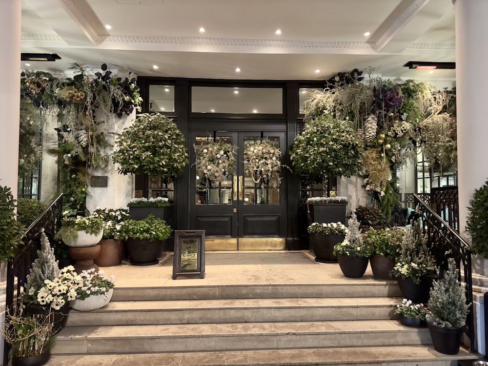 the entrance to a hotel with potted plants on the steps