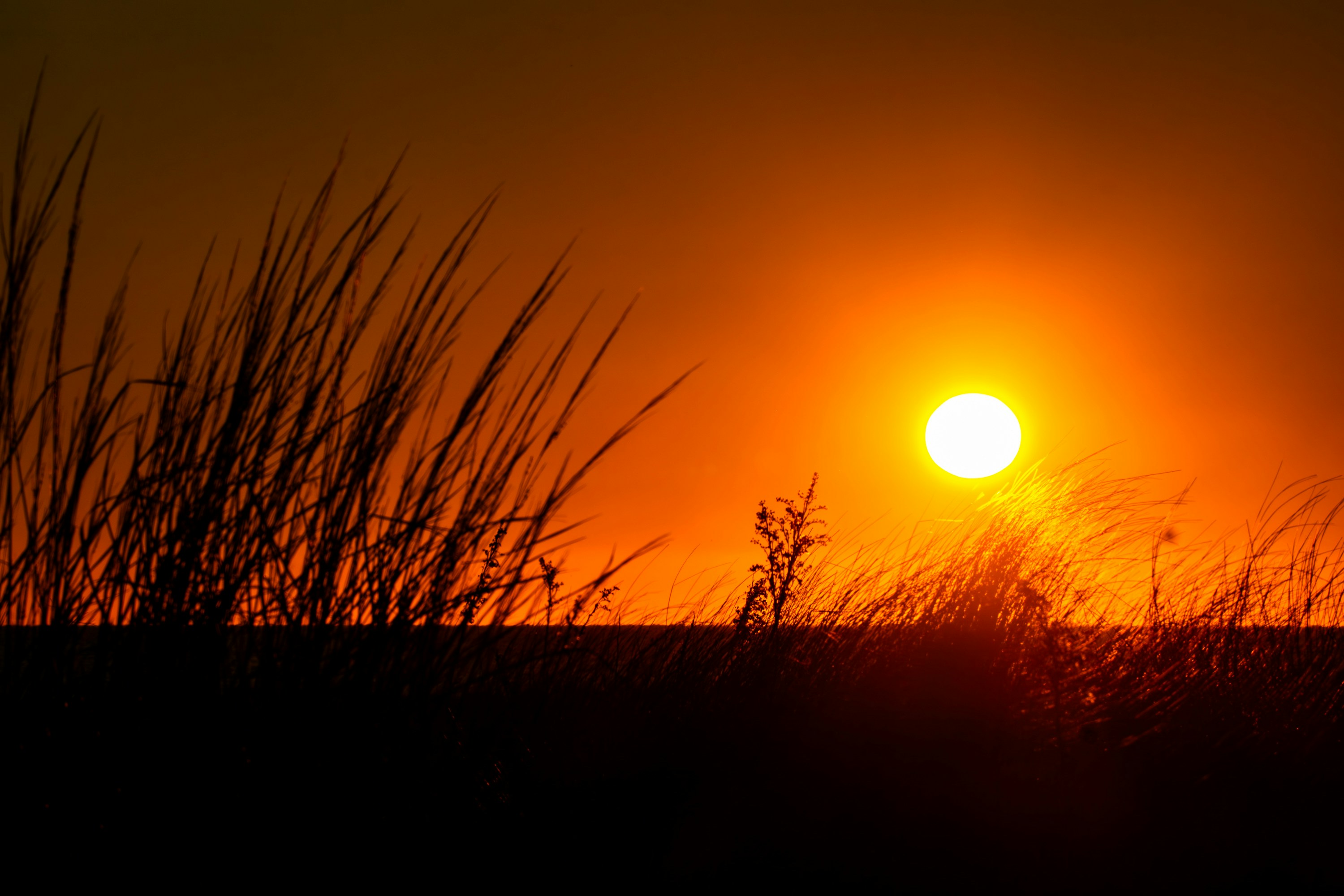 Photo by ucwhphotography