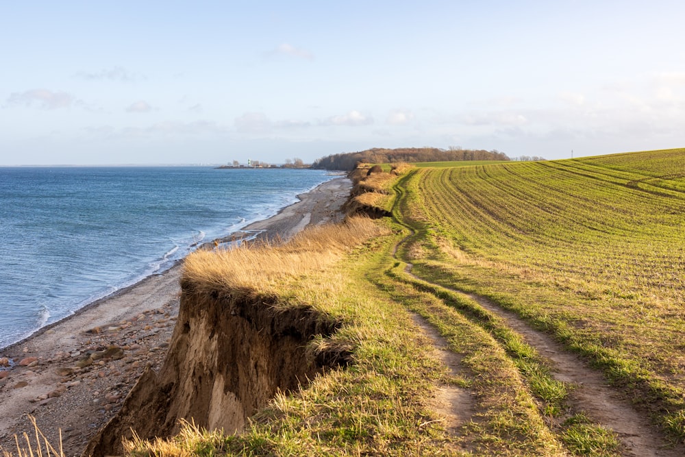 a dirt path leading to a beach next to the ocean
