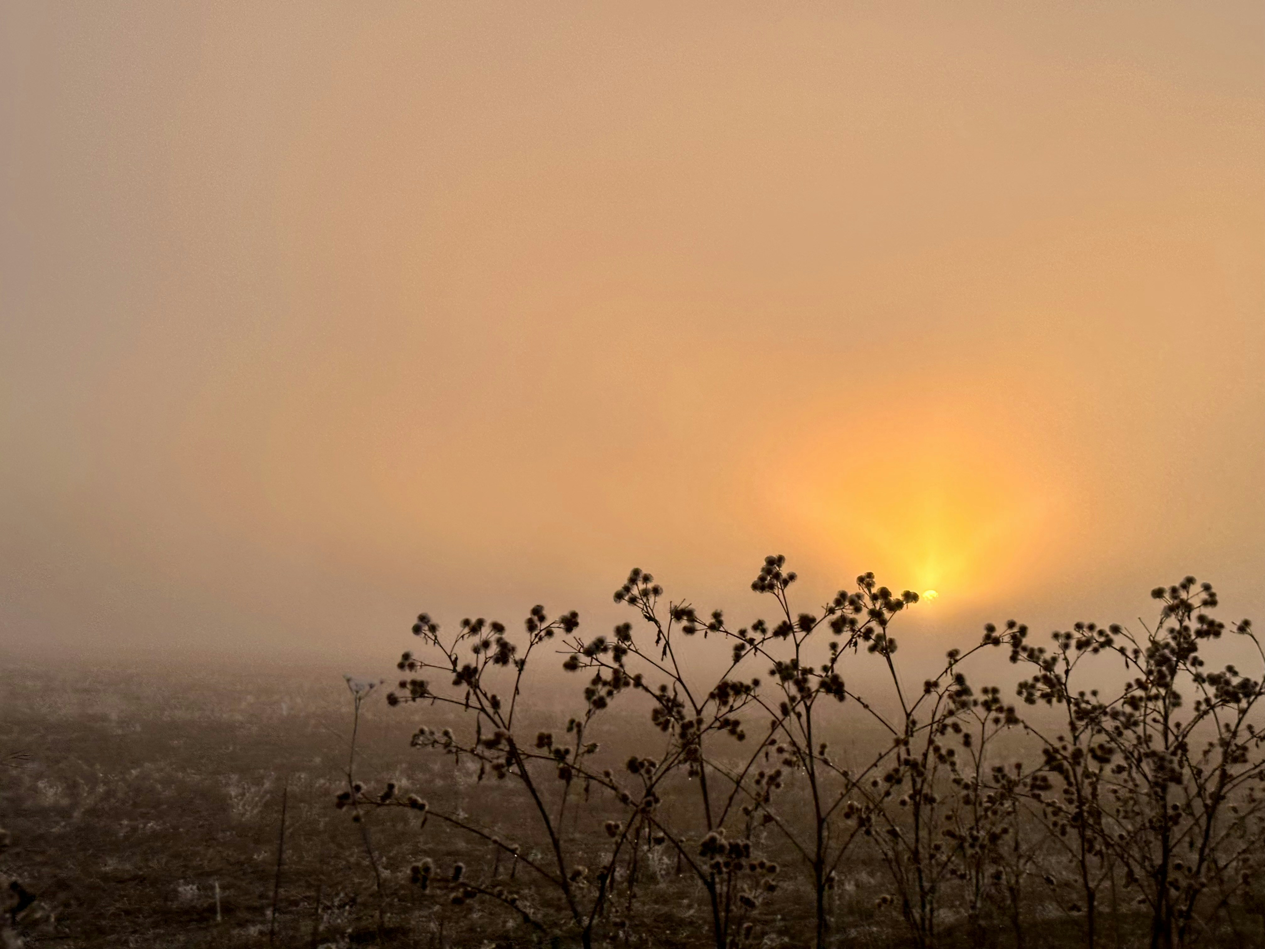 Photo by john_cameron