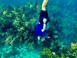 a man swimming in the ocean surrounded by fish