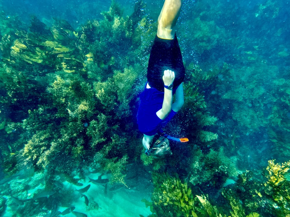 a man swimming in the ocean surrounded by fish