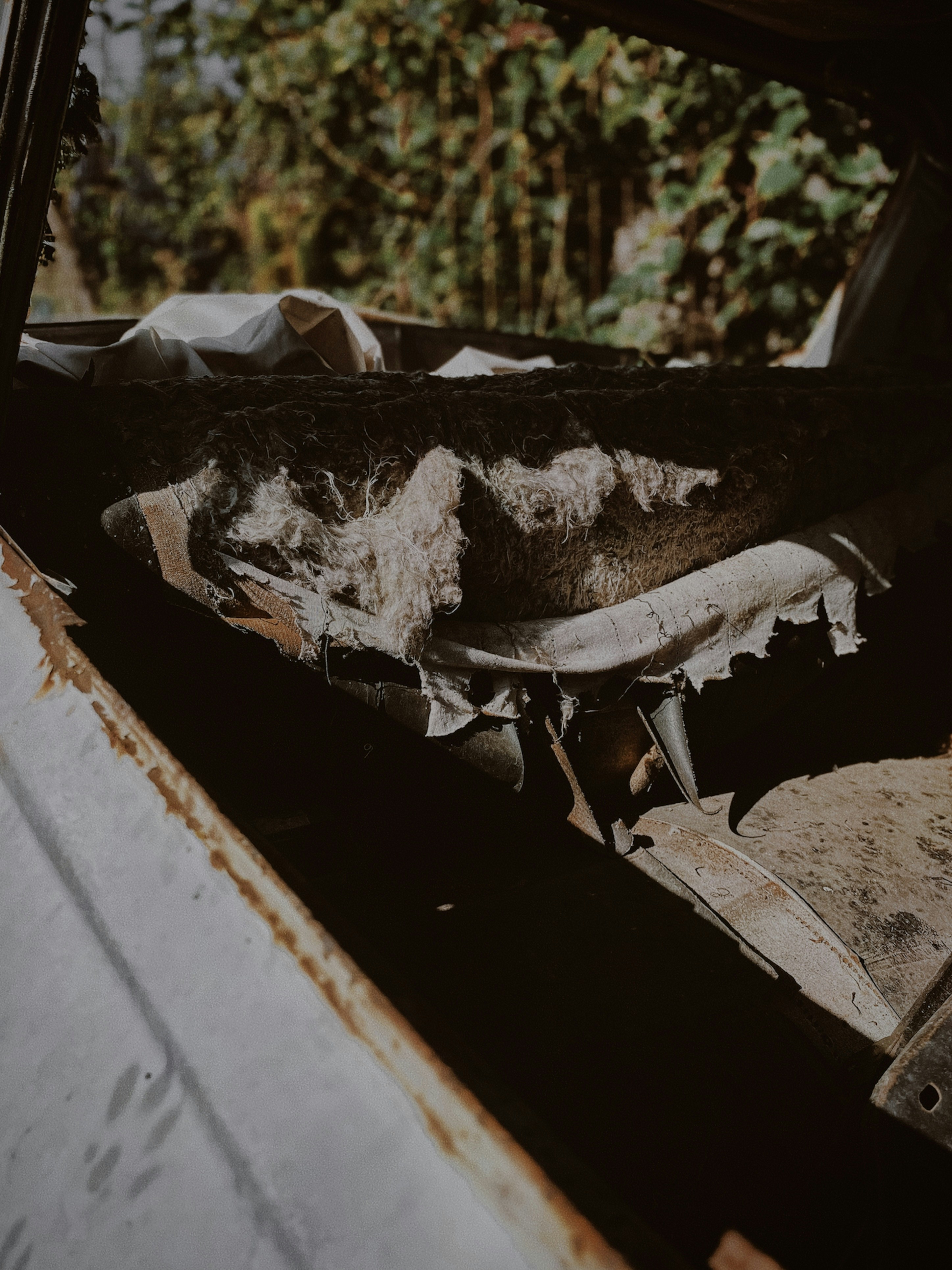 Photo by softechoarchive