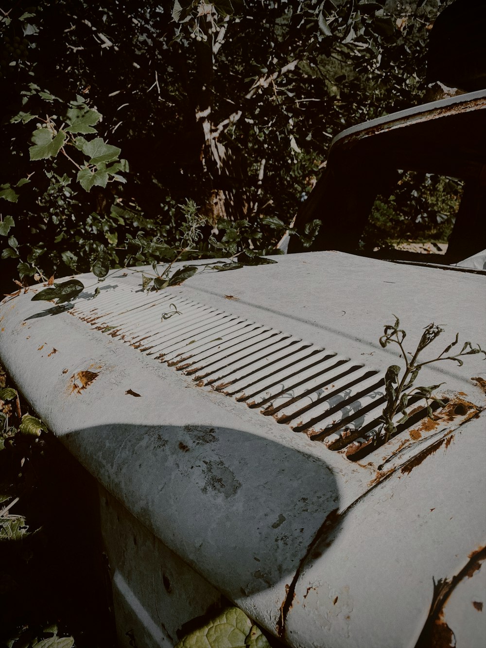 a rusted out old truck sitting in the woods