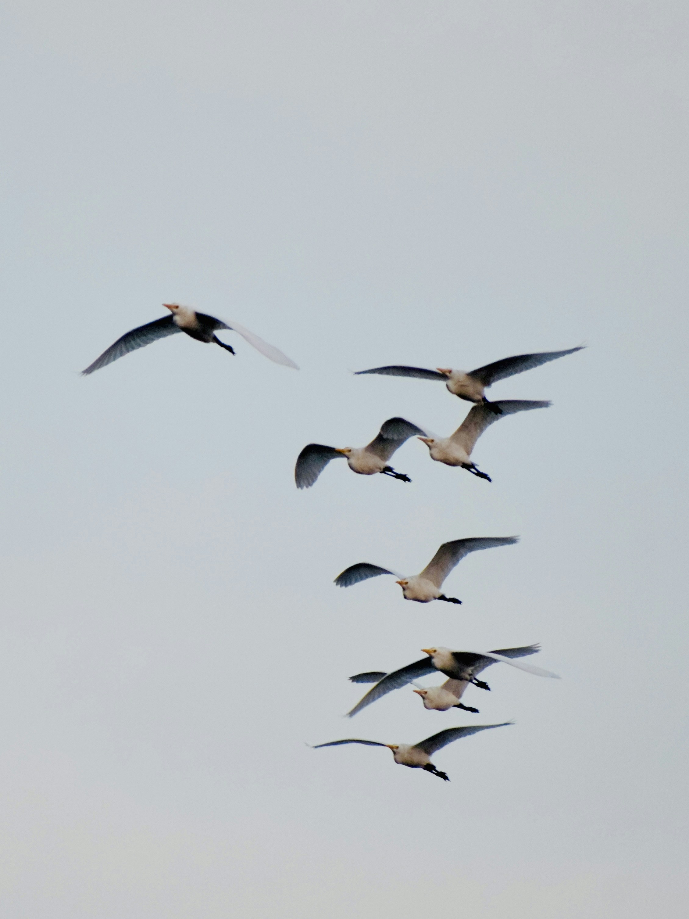 Photo by theushakiran