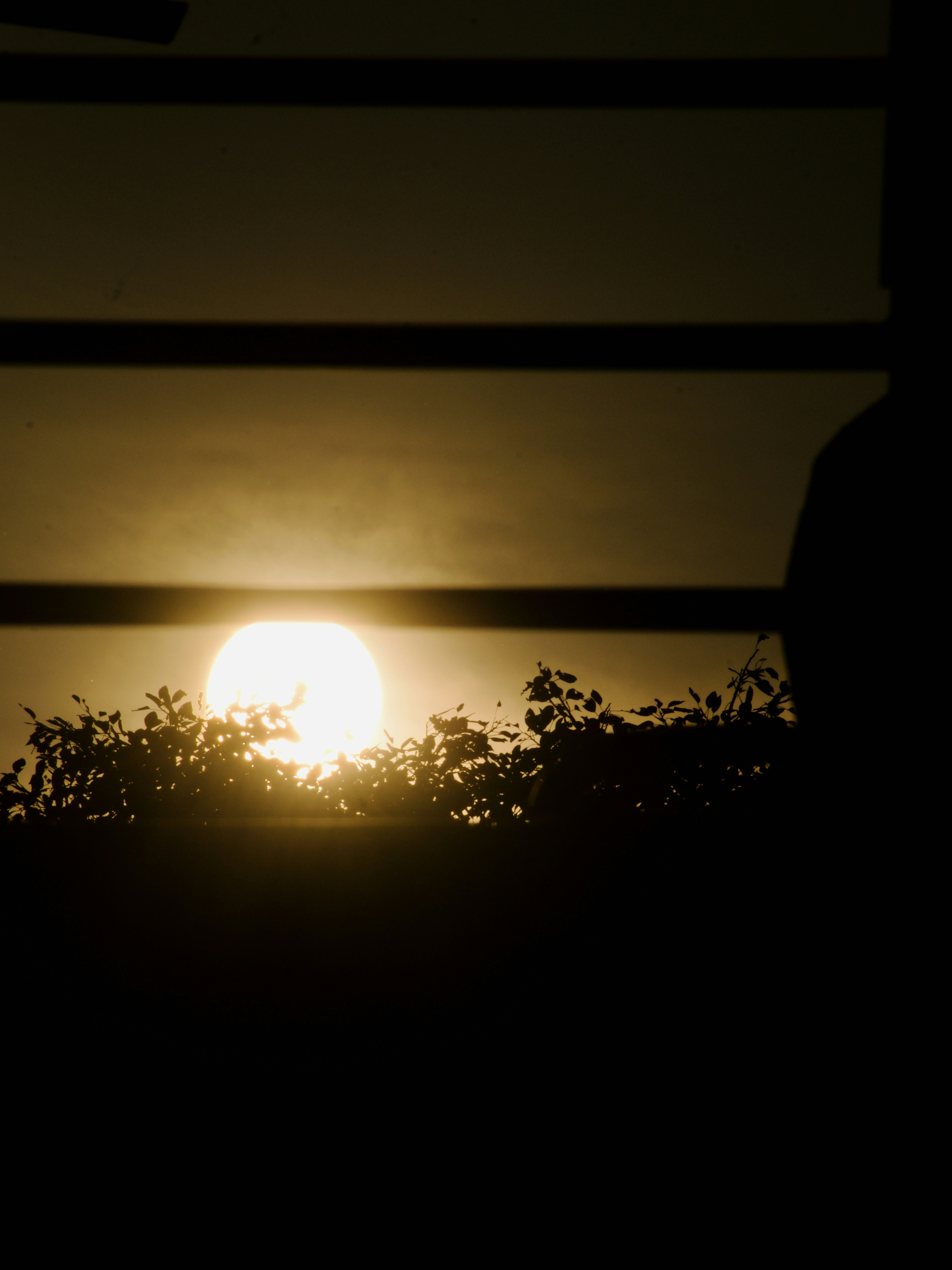 Photo by theushakiran