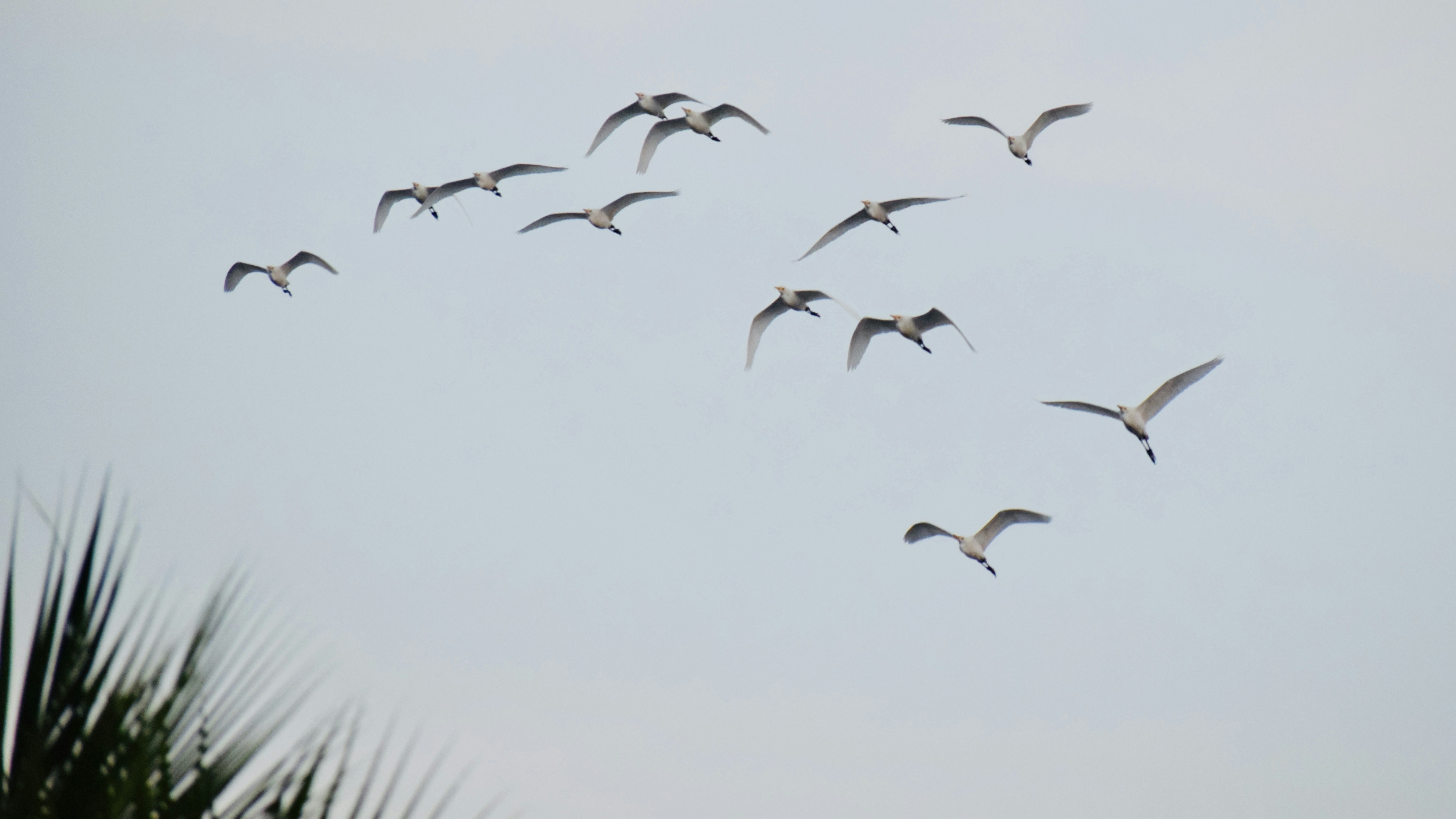 Photo by theushakiran