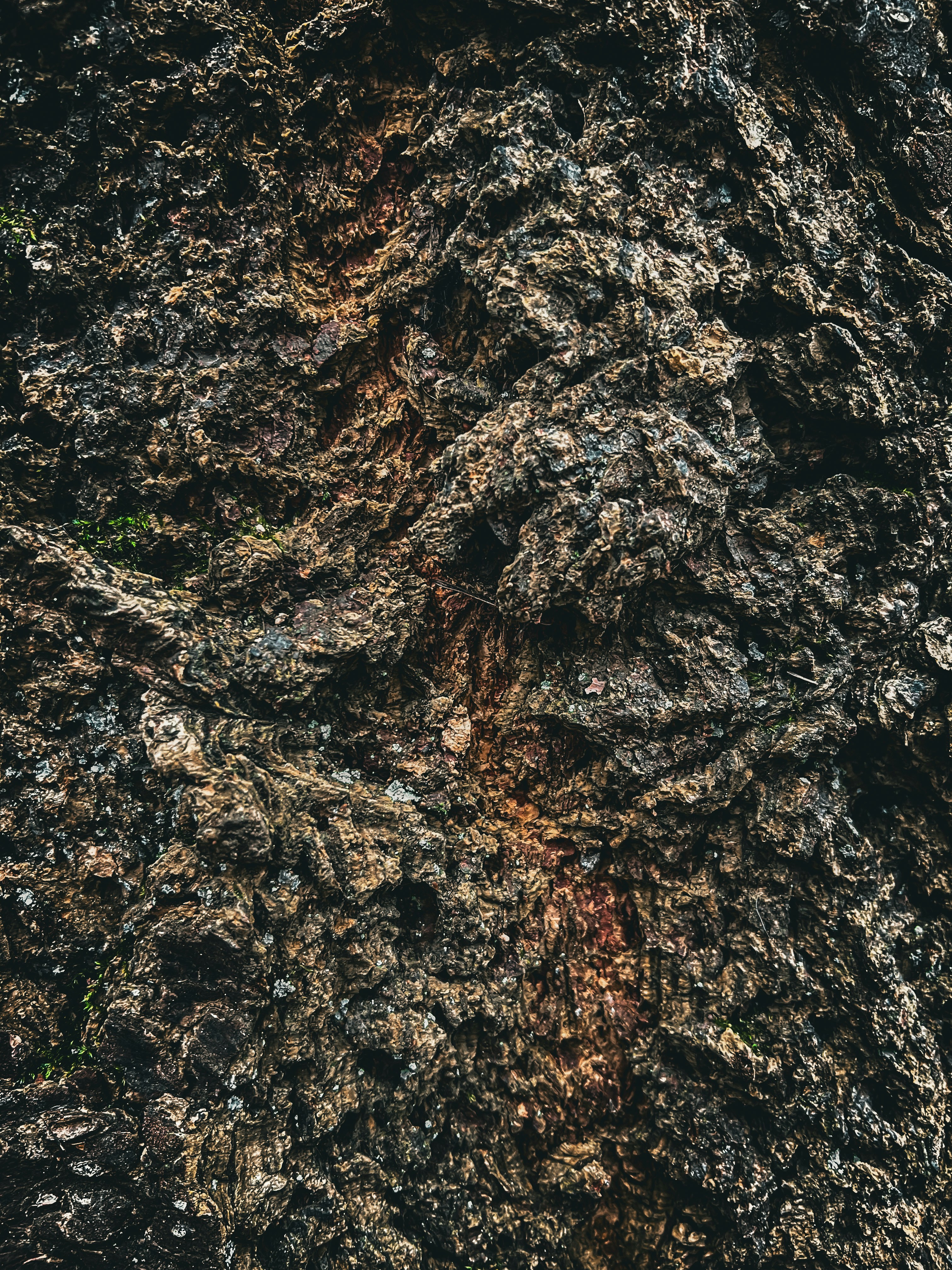 Photo by daaannorris