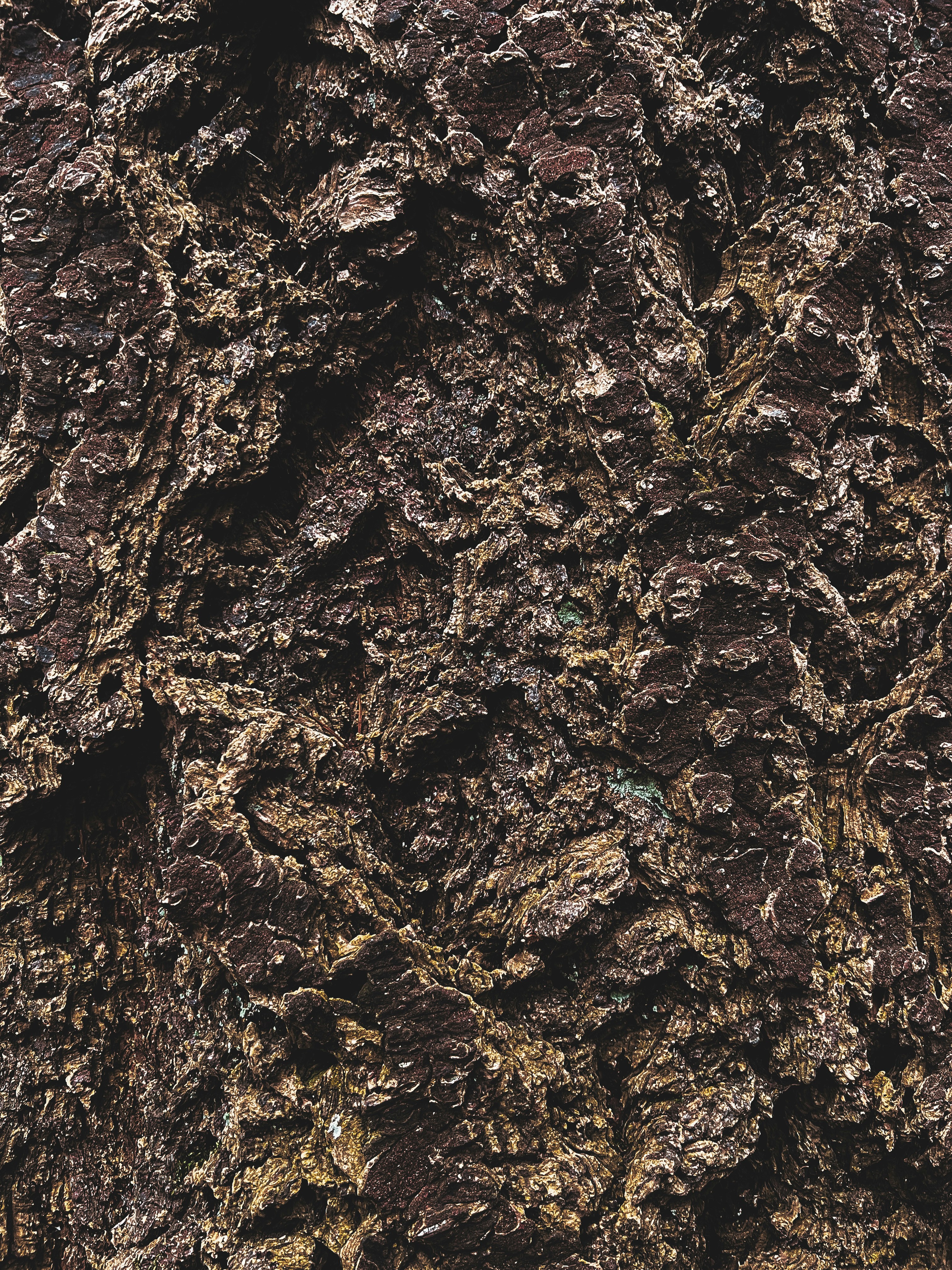 Photo by daaannorris