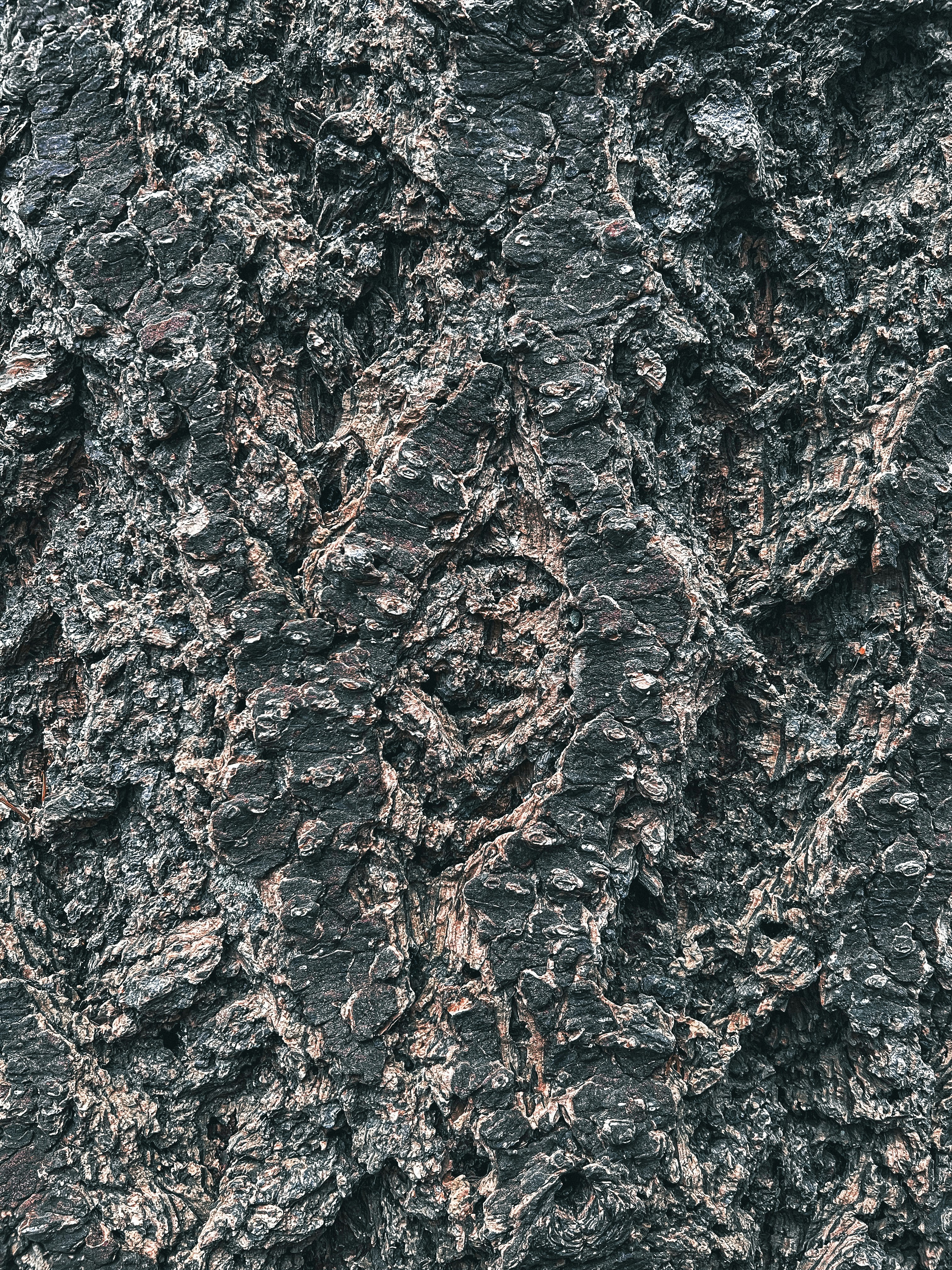 Photo by daaannorris