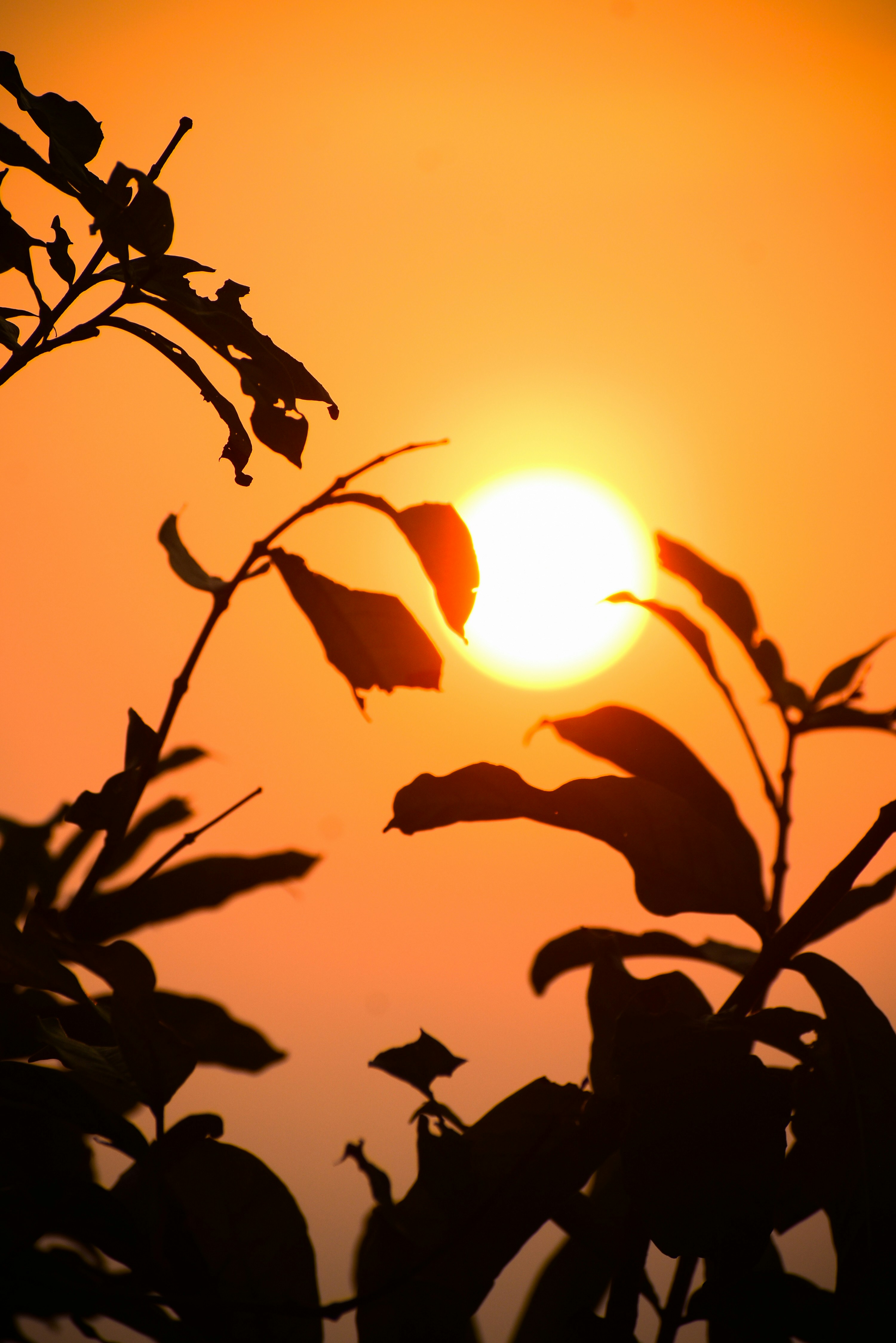 Photo by hacker_camerwork