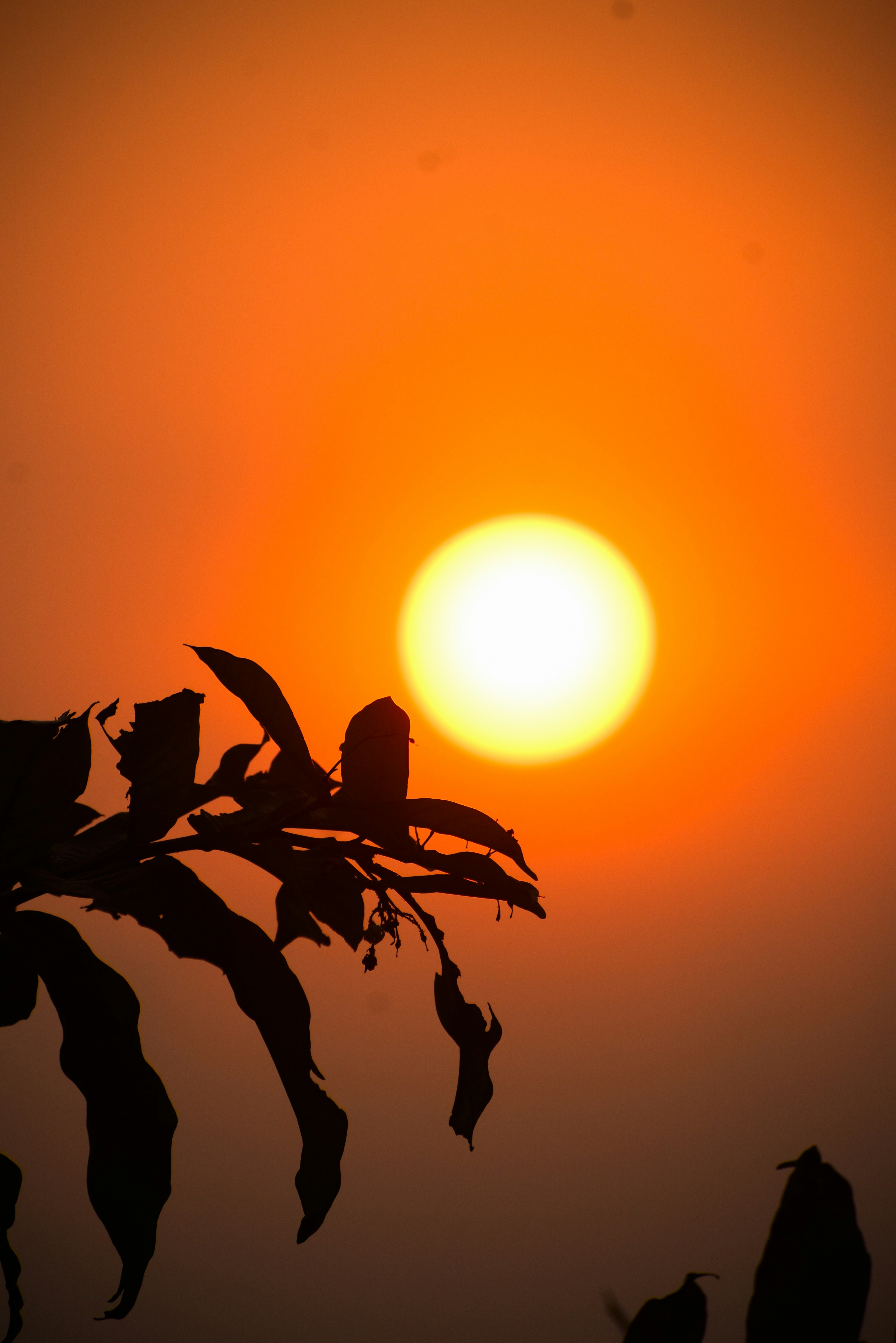 Photo by hacker_camerwork