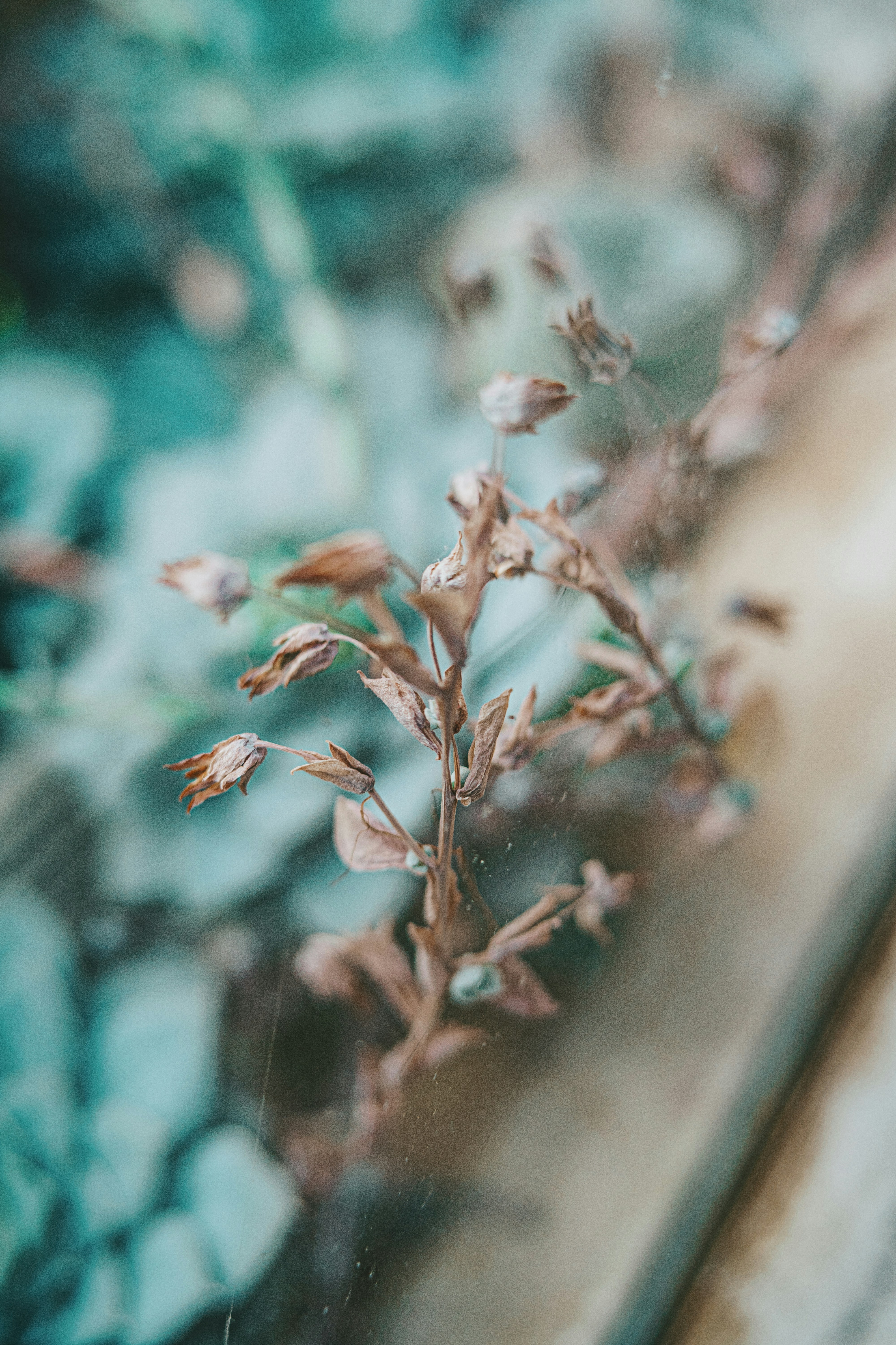 Photo by anamnesis33