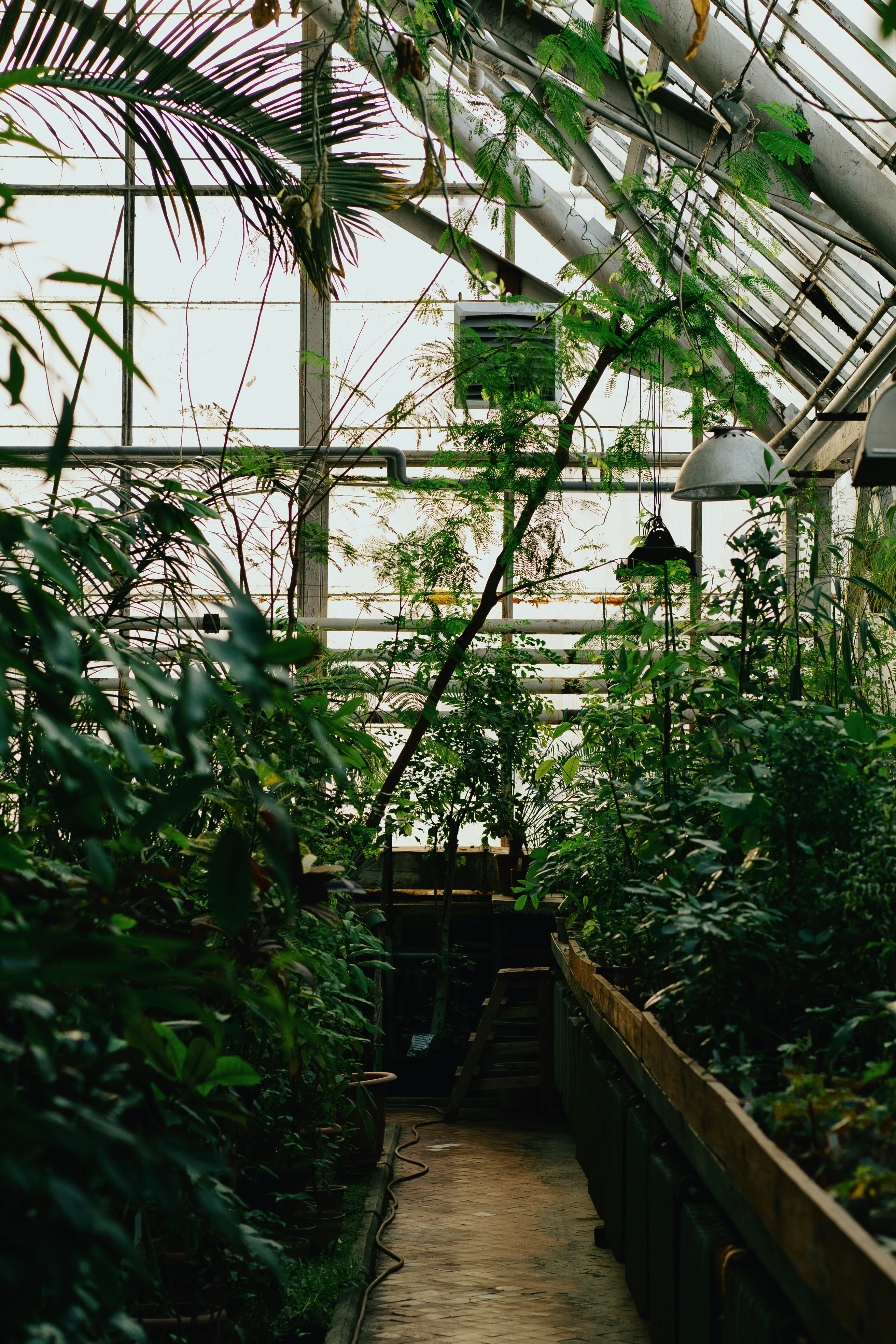 Photo by anamnesis33