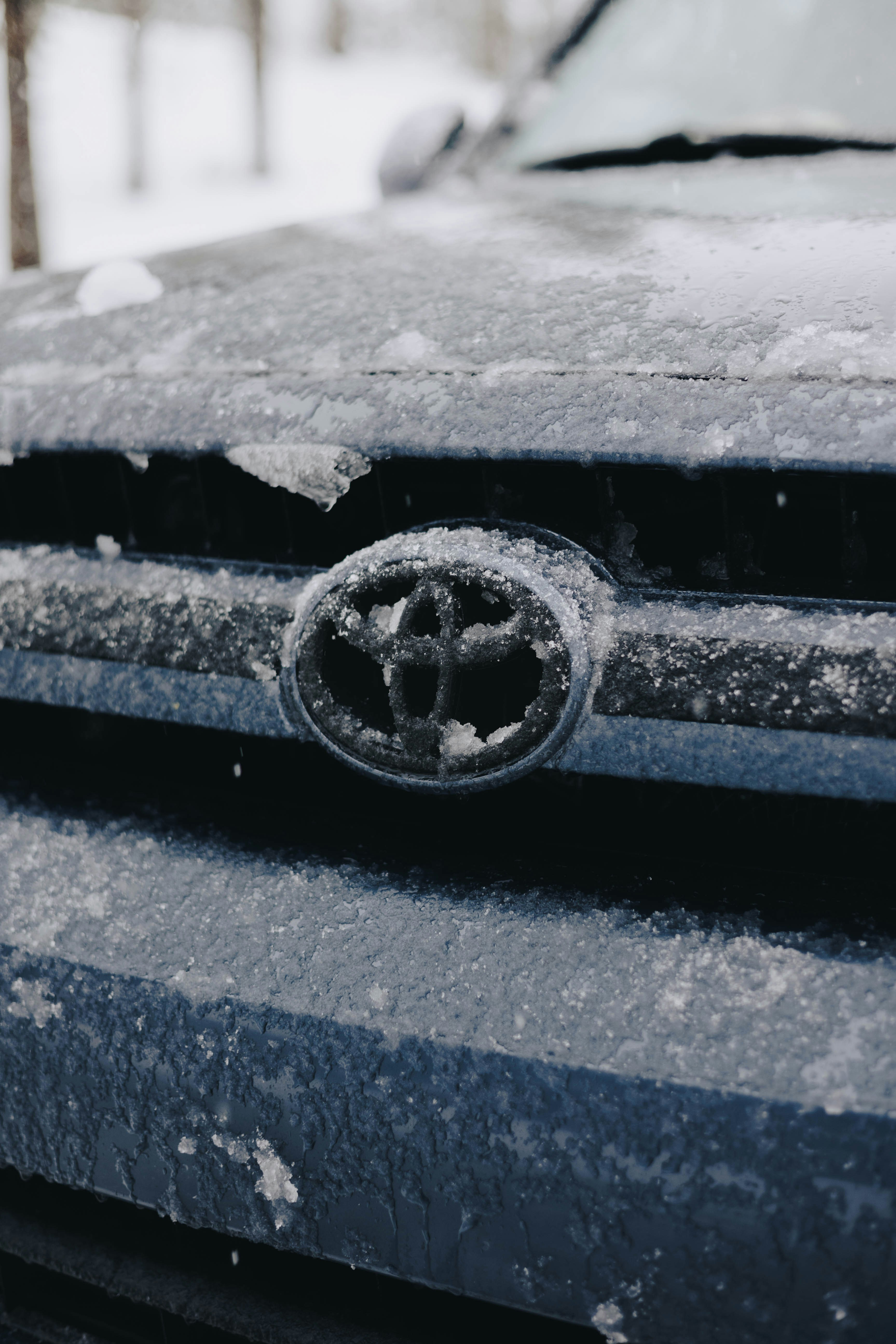 Photo by jeffersonsees