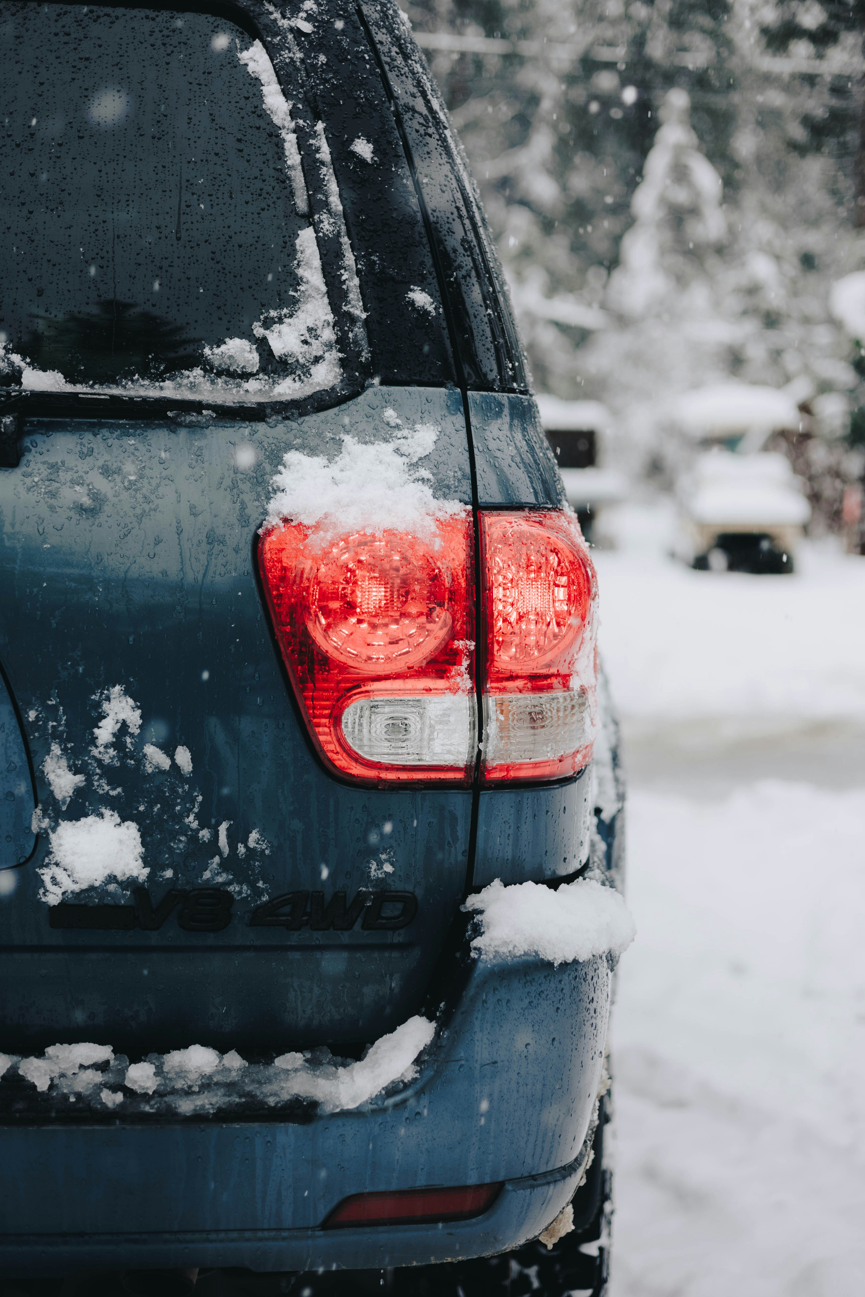 Photo by jeffersonsees