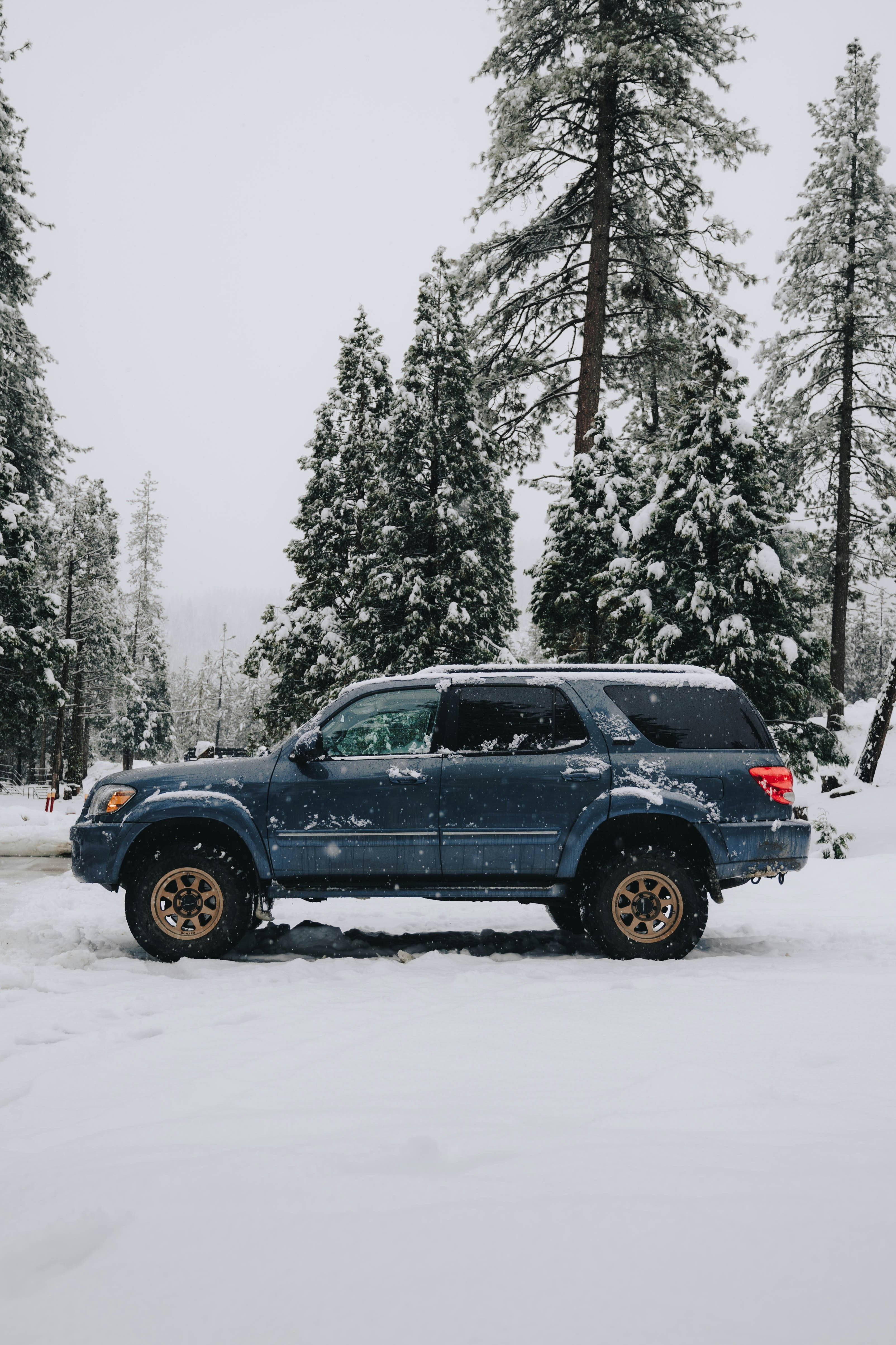 Photo by jeffersonsees